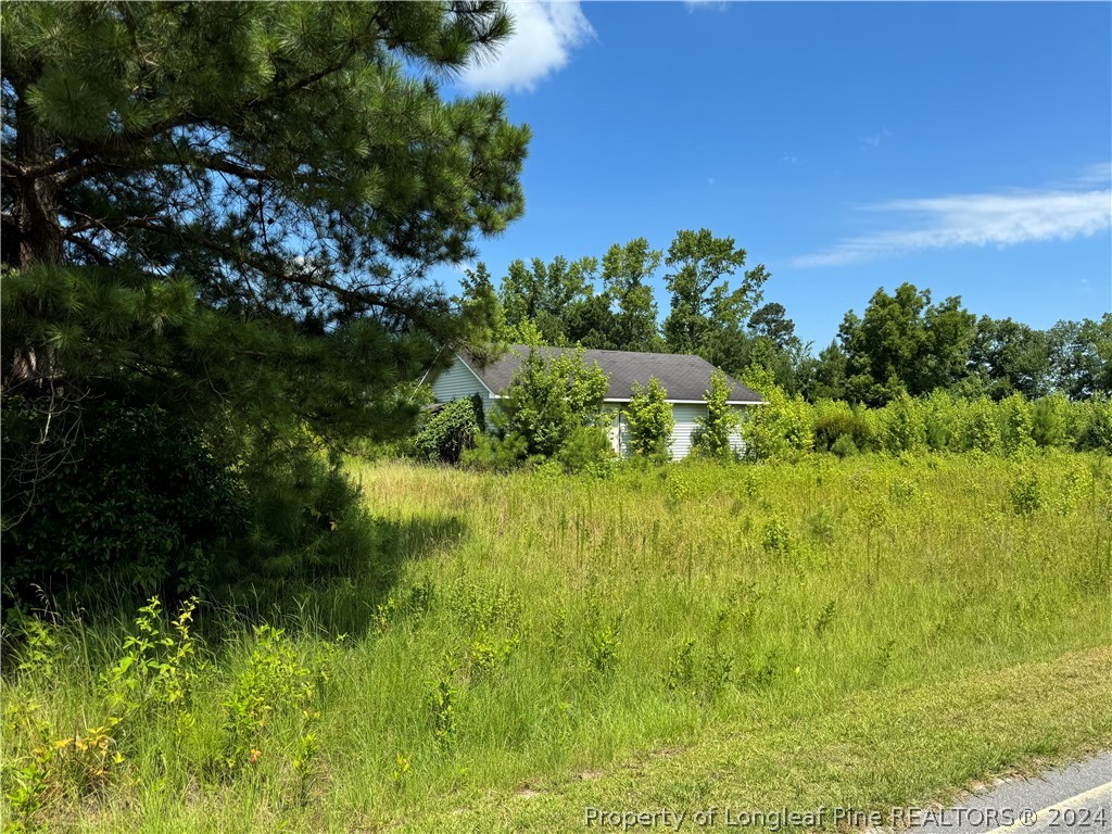956 Mac D Road Orrum, NC 28369 - Photo 6 of 6 Gallery Image 6
