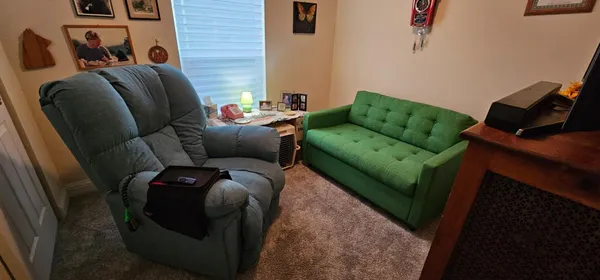 a living room with furniture and a couch
