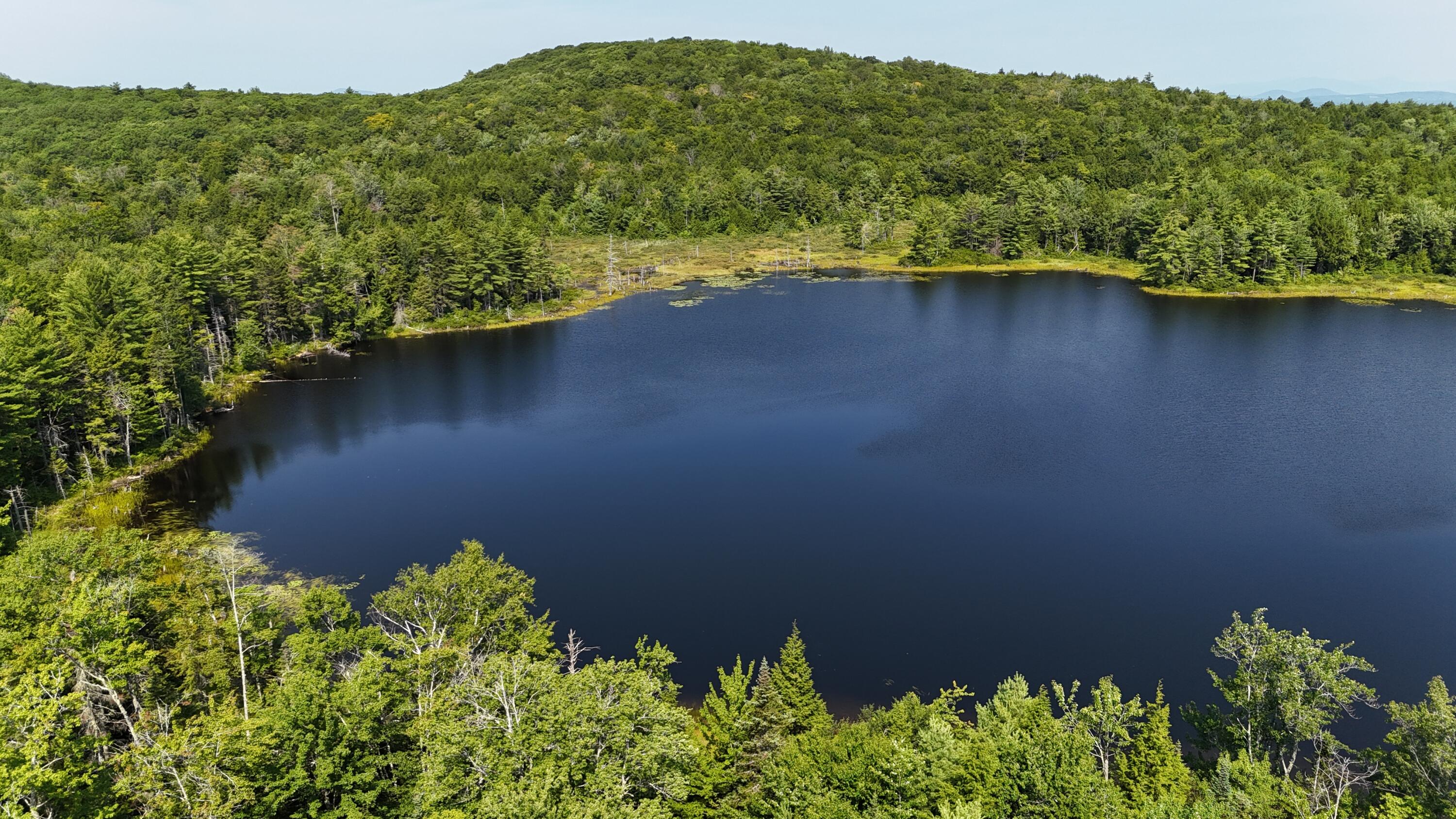 Lot 83-84 Off Jesse Ladd Road Vienna, ME 04360 - Photo 34 of 46 26acresOnDavisPond (24)