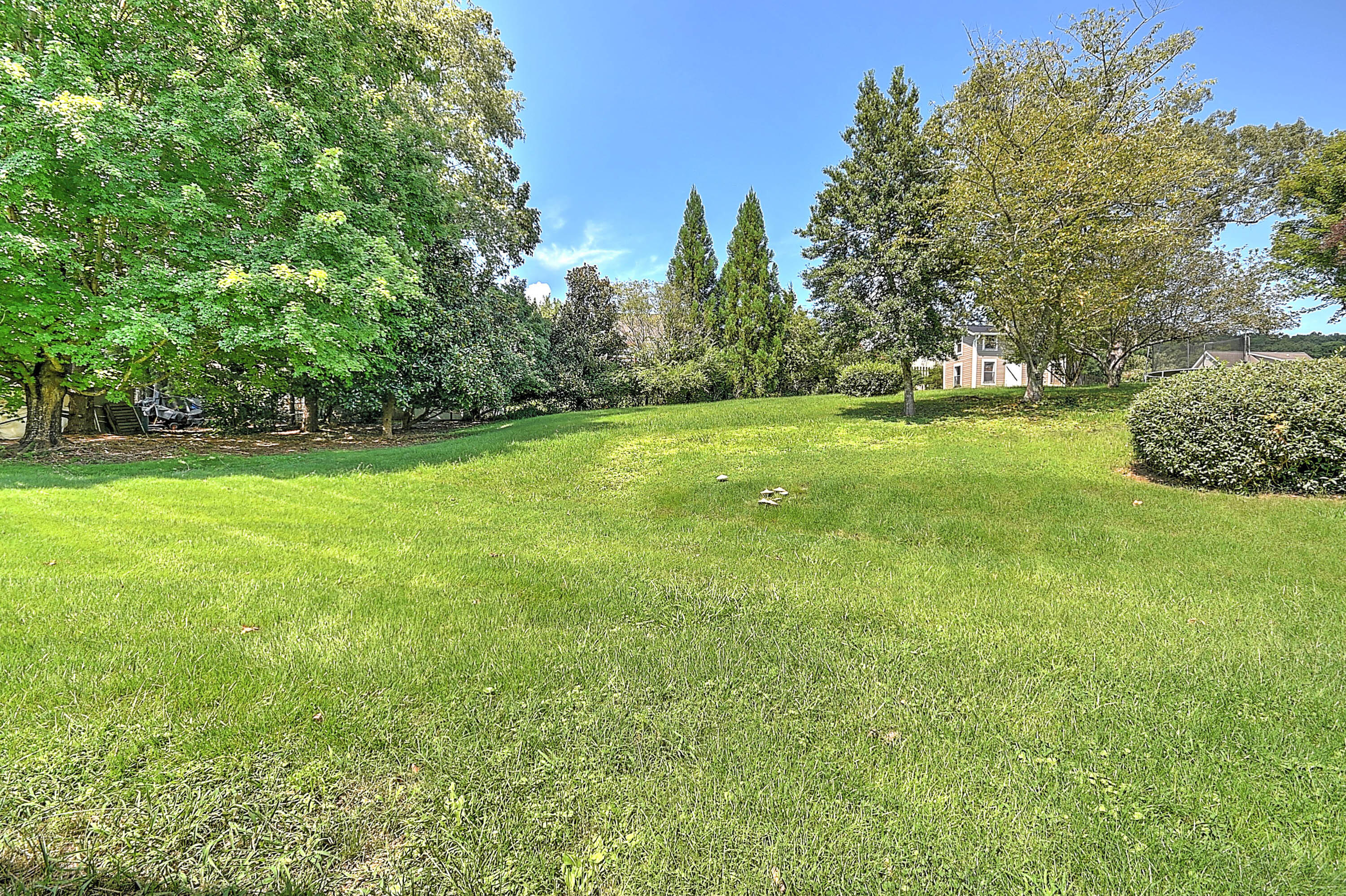 137 Snyder Road Johnson City, TN 37615 - Photo 34 of 36 Snyder-36