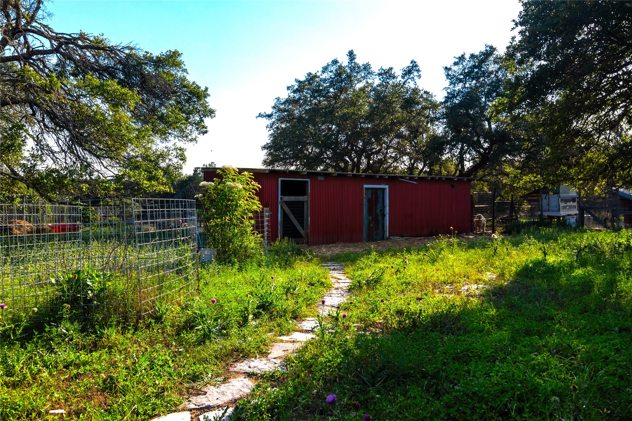 435 Spangenberg Road Blanco, TX 78606 - Photo 36 of 38 a view of outdoor space and yard