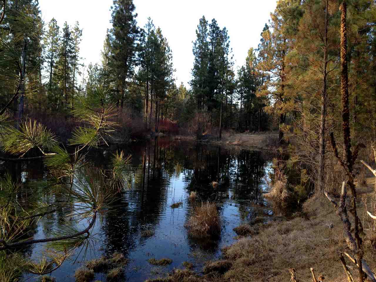 182-xx South Malloy Prairie Road Cheney, WA 99004 - Photo 10 of 12 Gallery Image 10