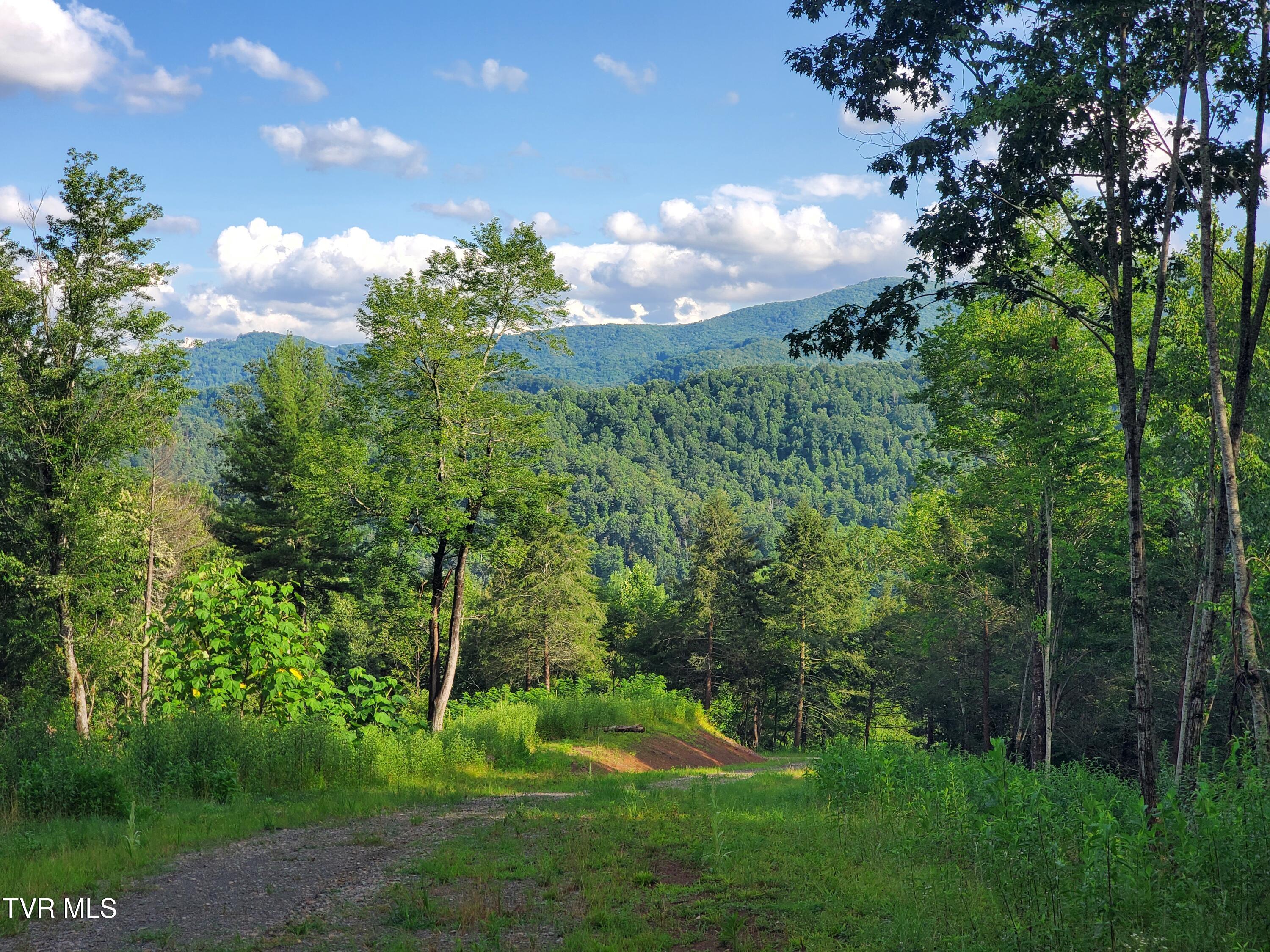 Lot 15 Tuscanee Lane Butler, TN 37640 - Photo 4 of 10 20250716_182307