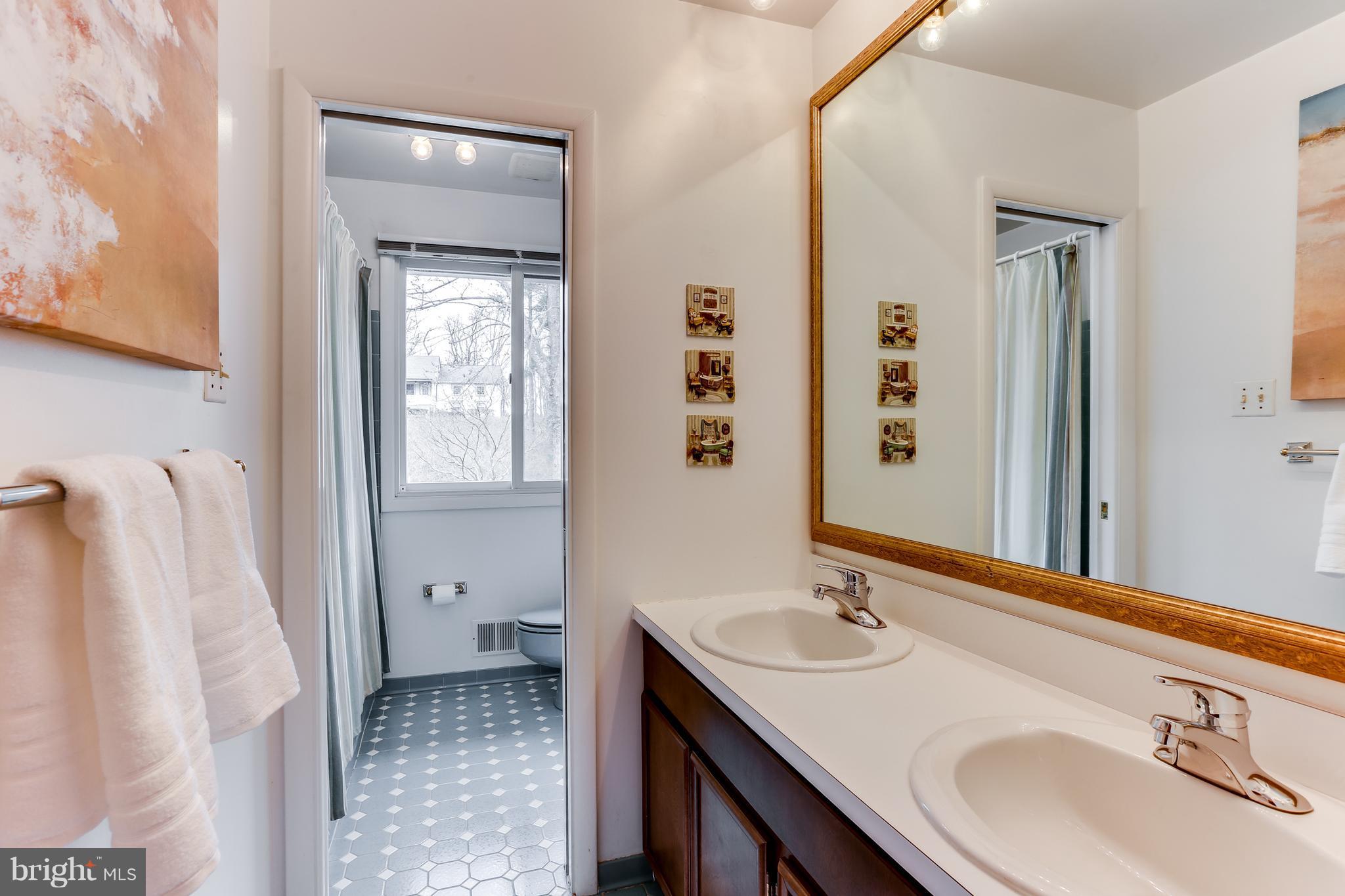 1713 Gamewell Road Silver Spring, MD 20905 - Photo 21 of 30 a bathroom with a sink and a mirror