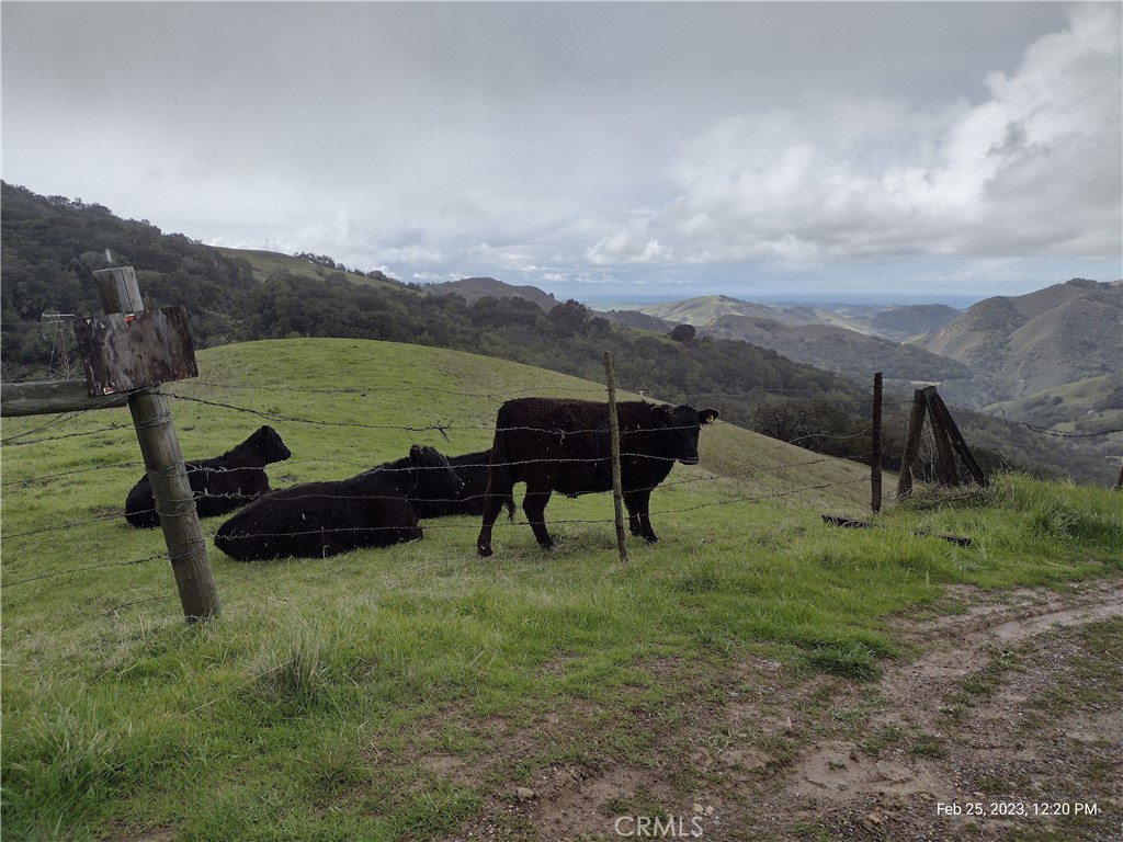 9500 Santa Rosa Creek Road Cambria, CA 93428 - Photo 10 of 33