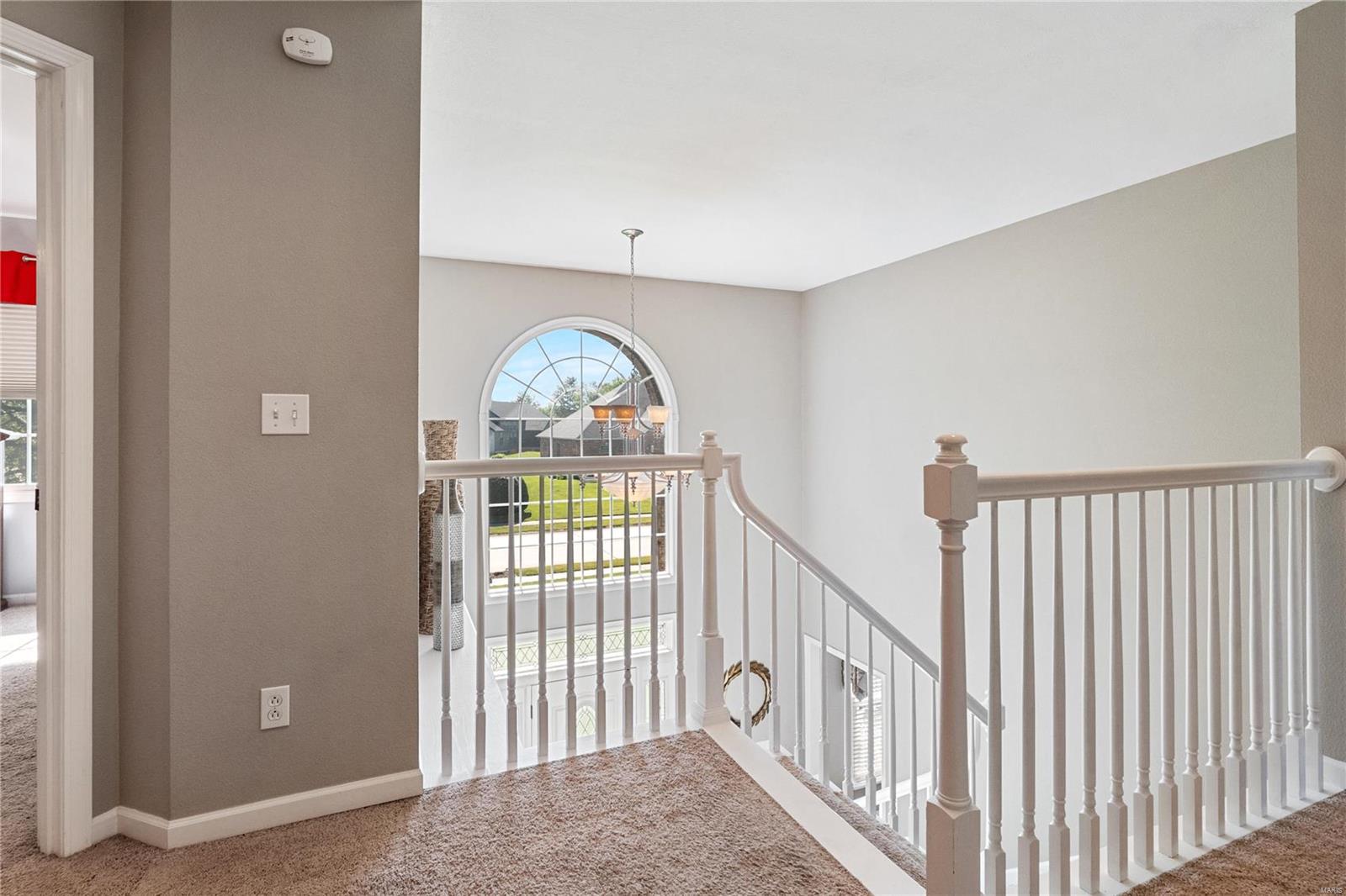 1703 Clover Ridge Columbia, IL 62236 - Photo 23 of 57