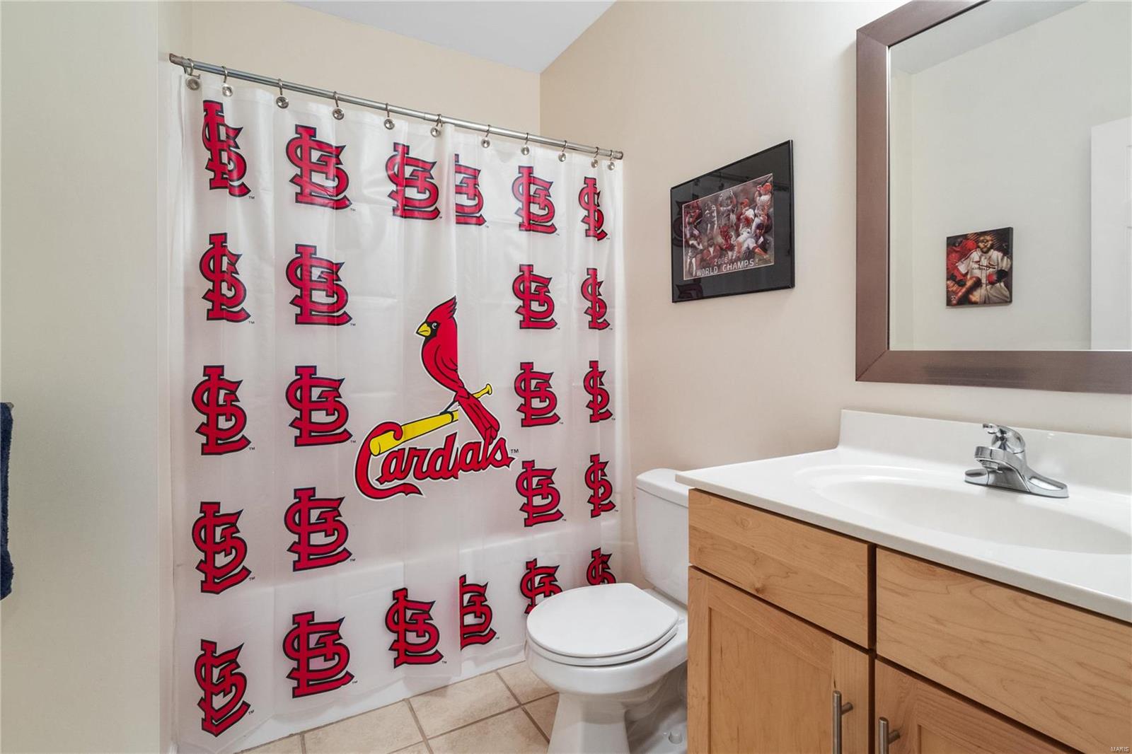 1703 Clover Ridge Columbia, IL 62236 - Photo 44 of 57