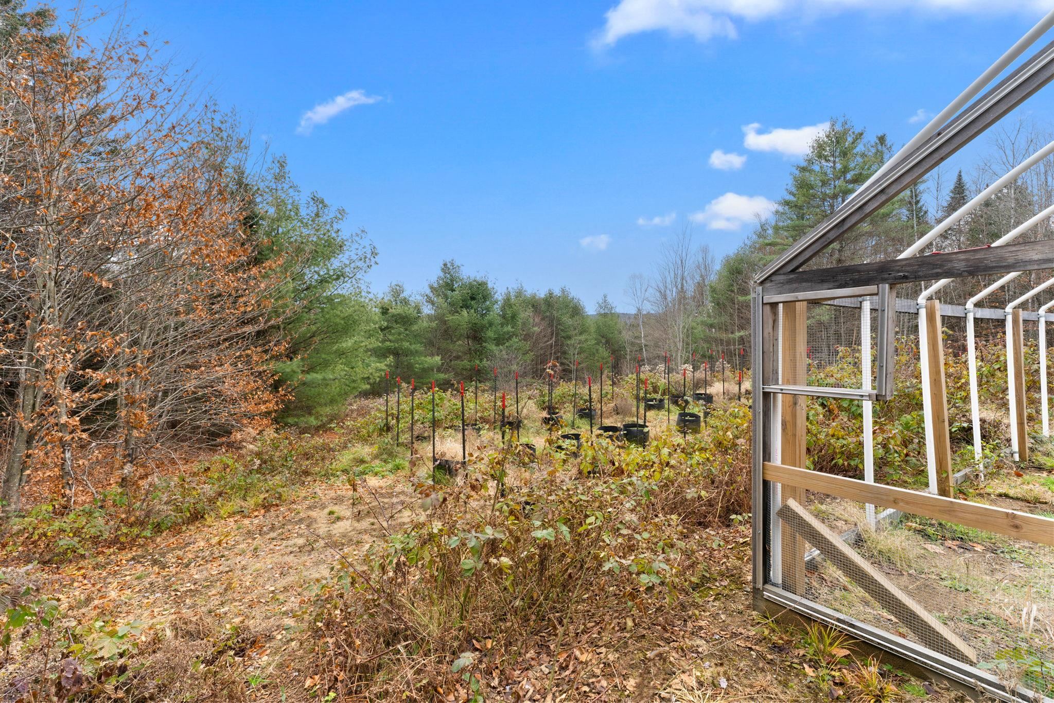 Undisclosed Address Calais, VT 05650 - Photo 22 of 38