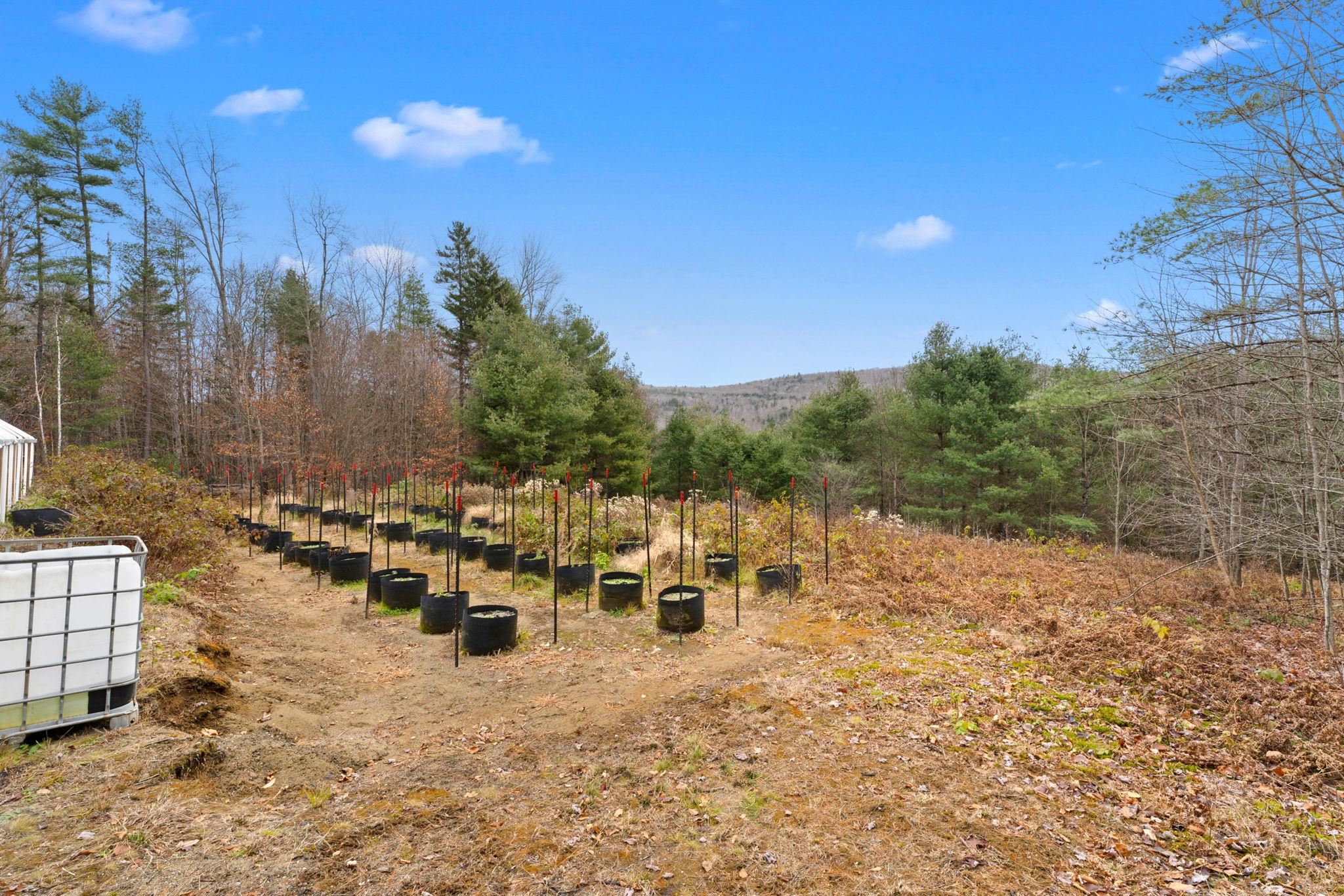 Undisclosed Address Calais, VT 05650 - Photo 26 of 38