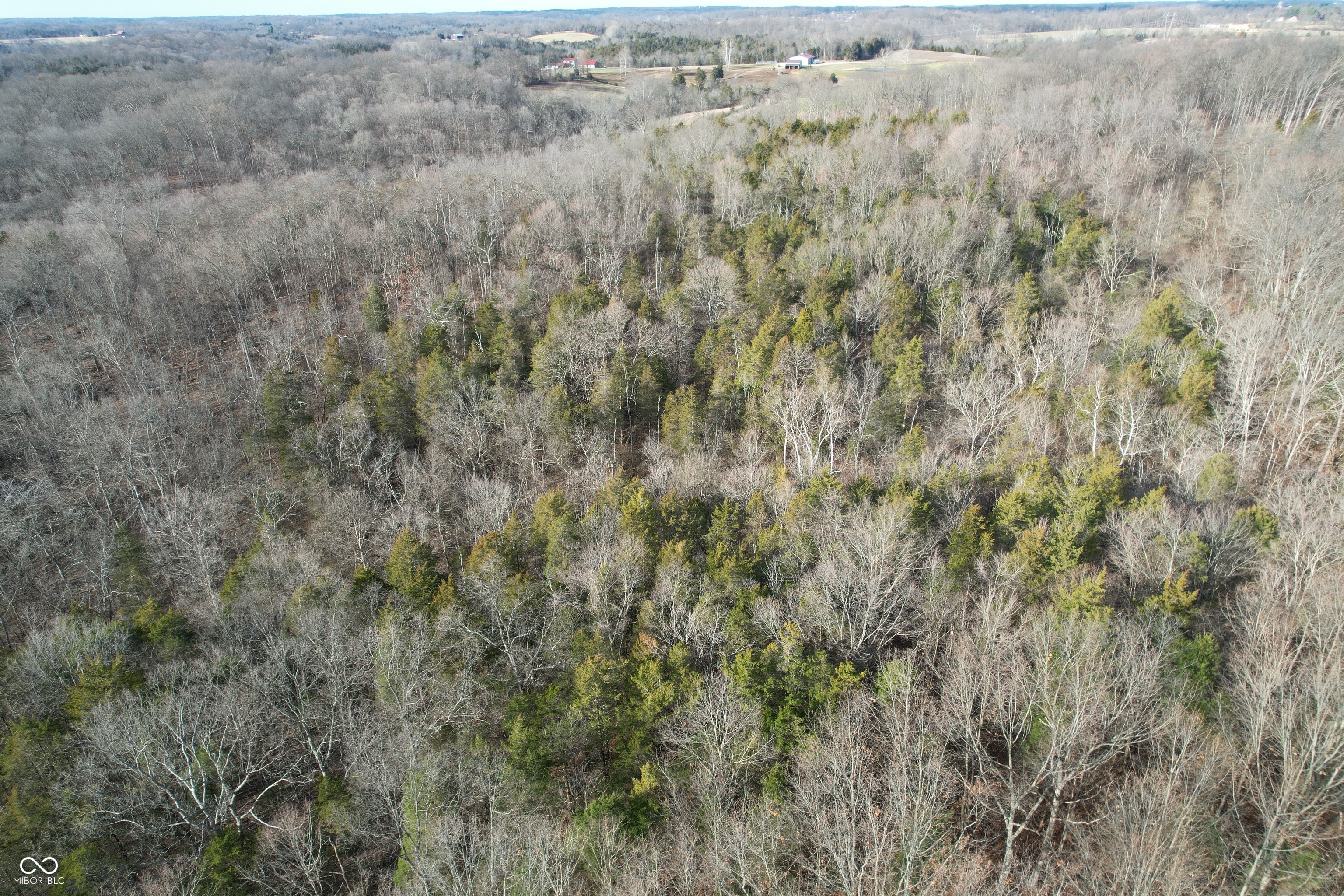 0 Burtzelbach Road Guilford, IN 47022 - Photo 11 of 33