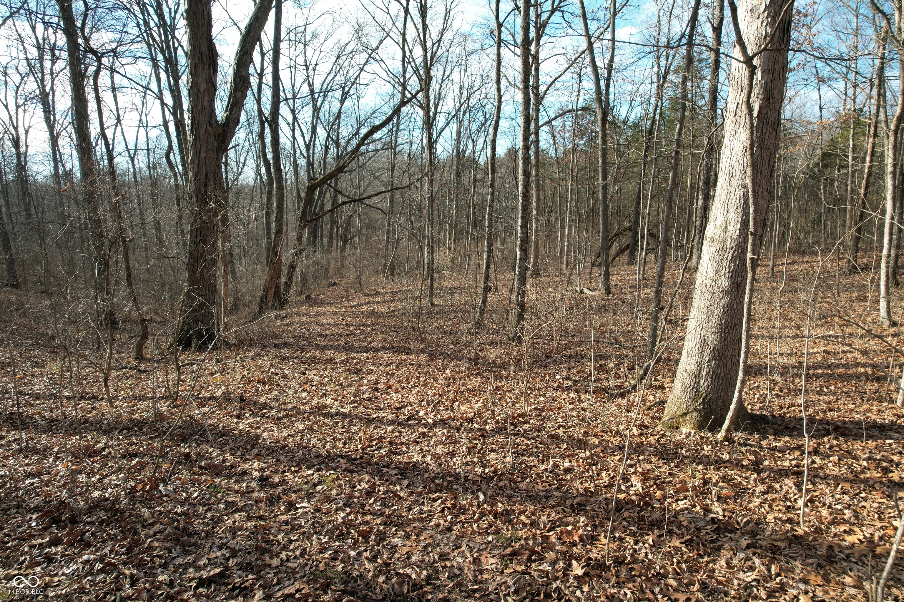 0 Burtzelbach Road Guilford, IN 47022 - Photo 12 of 33