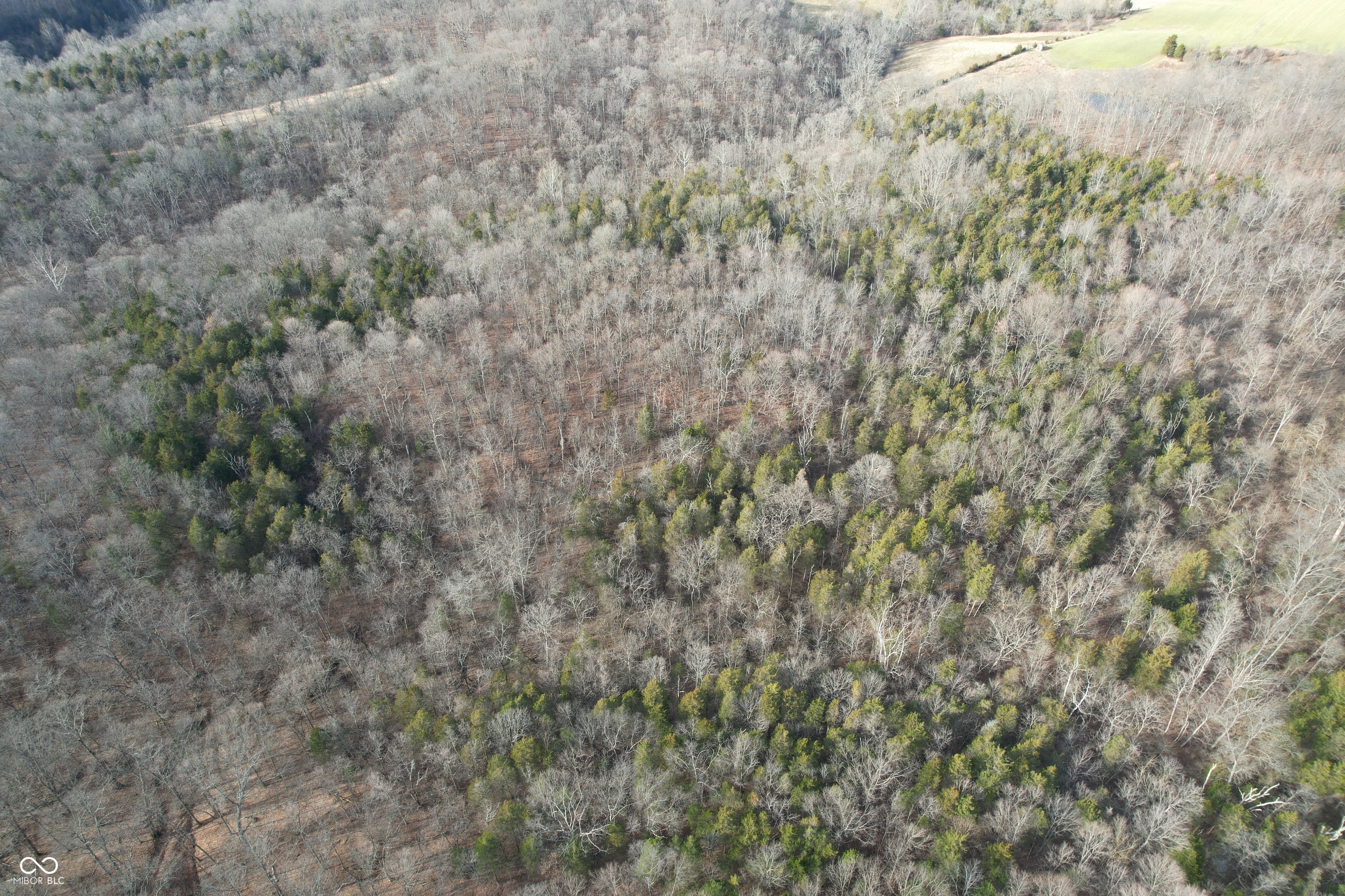 0 Burtzelbach Road Guilford, IN 47022 - Photo 14 of 33