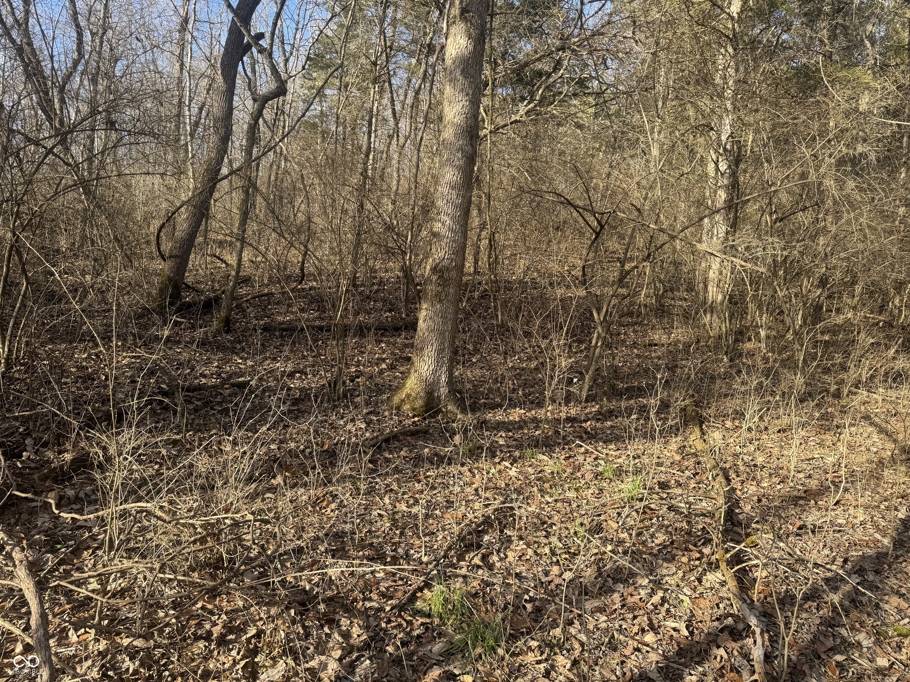 0 Burtzelbach Road Guilford, IN 47022 - Photo 15 of 33