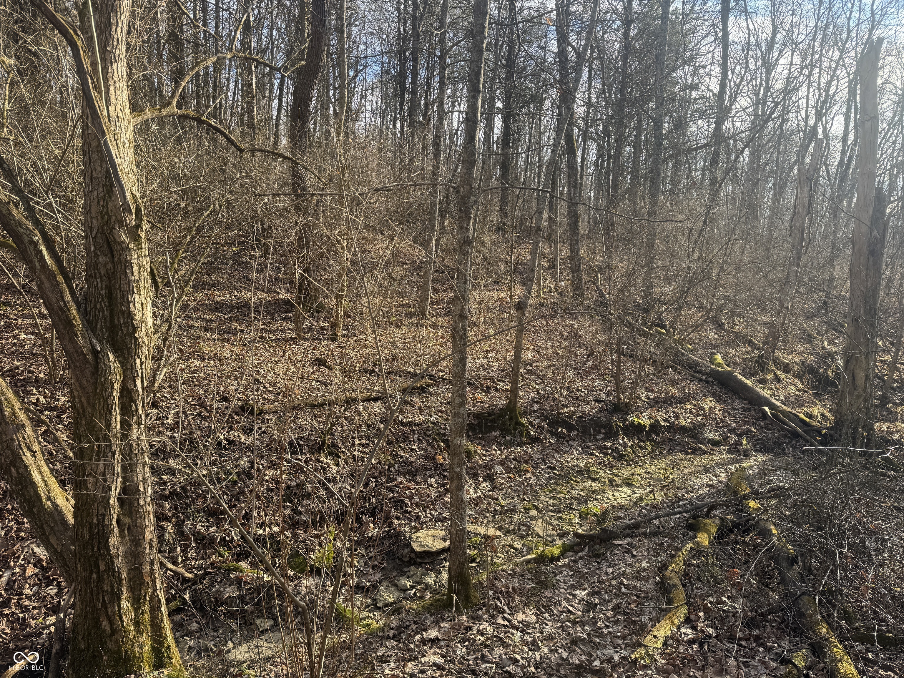 0 Burtzelbach Road Guilford, IN 47022 - Photo 16 of 33