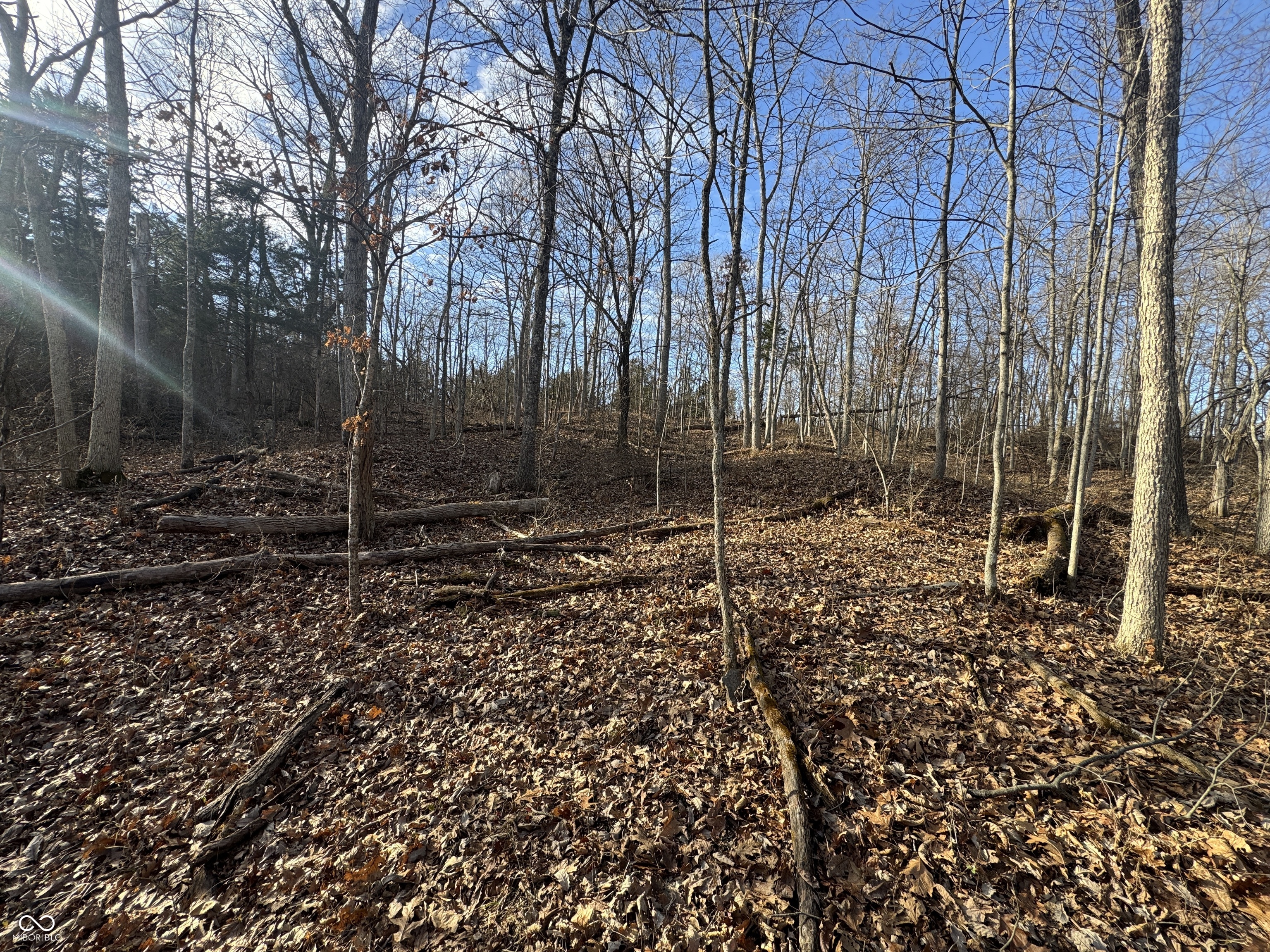 0 Burtzelbach Road Guilford, IN 47022 - Photo 17 of 33