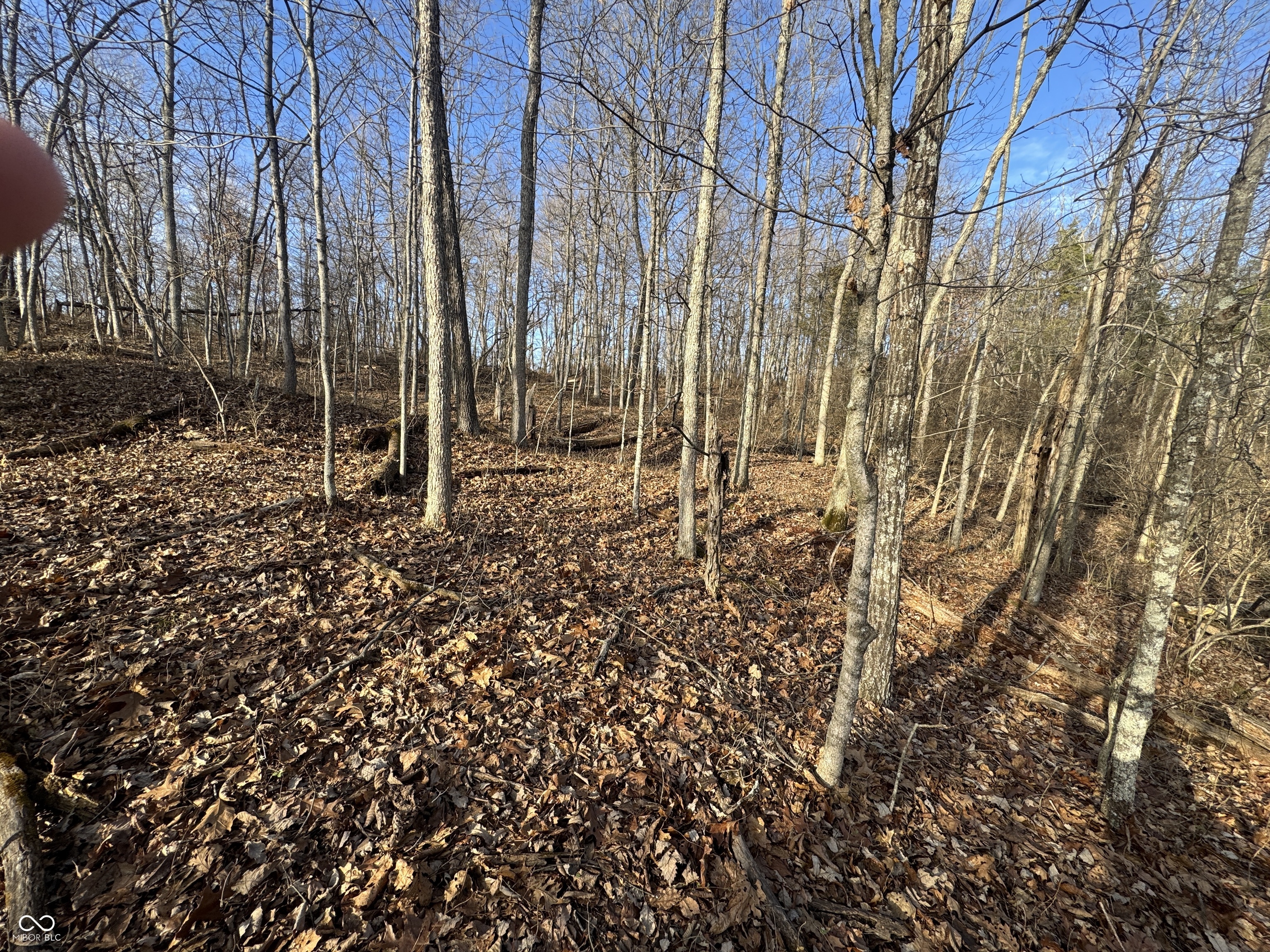 0 Burtzelbach Road Guilford, IN 47022 - Photo 18 of 33