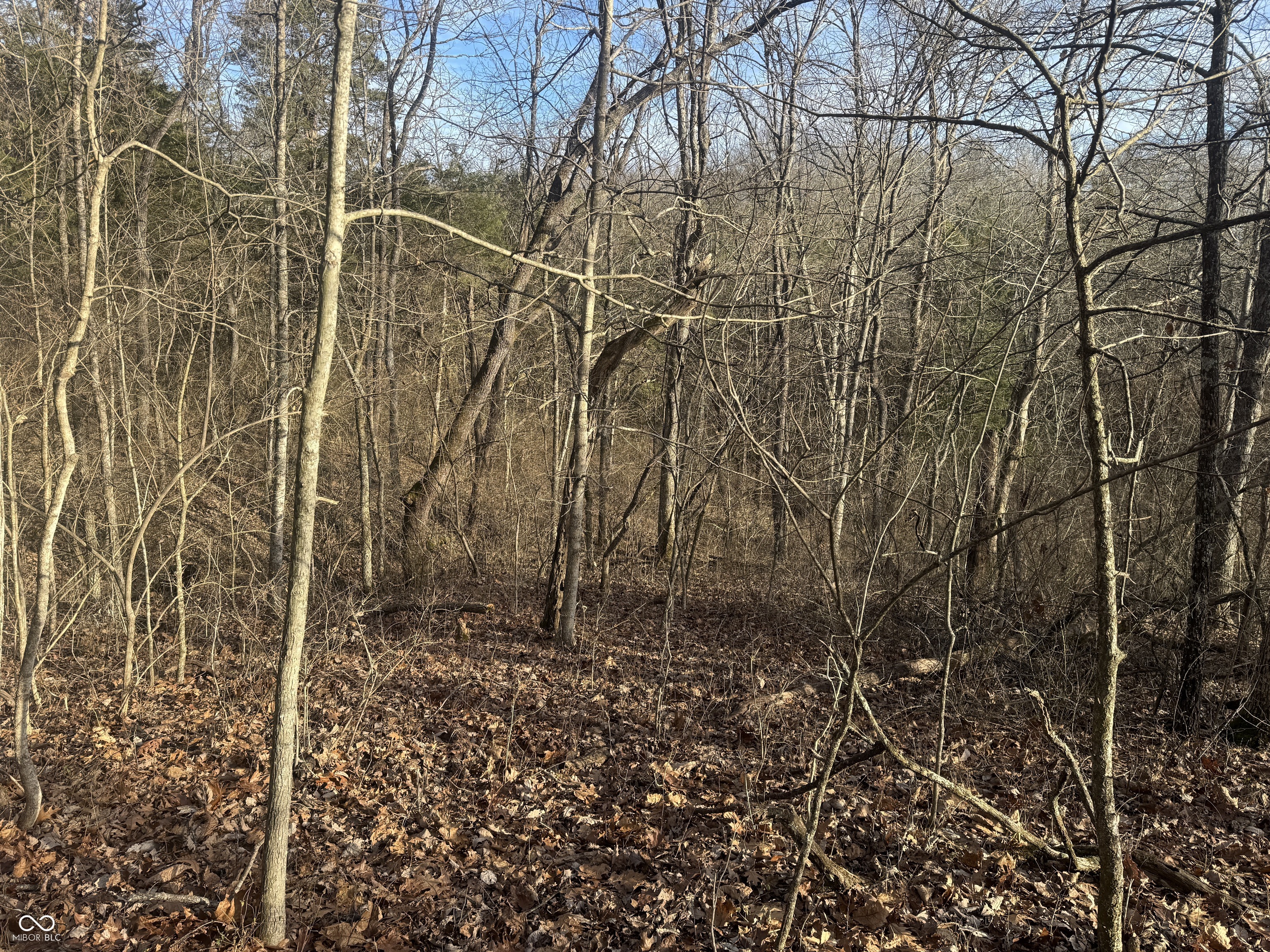 0 Burtzelbach Road Guilford, IN 47022 - Photo 19 of 33