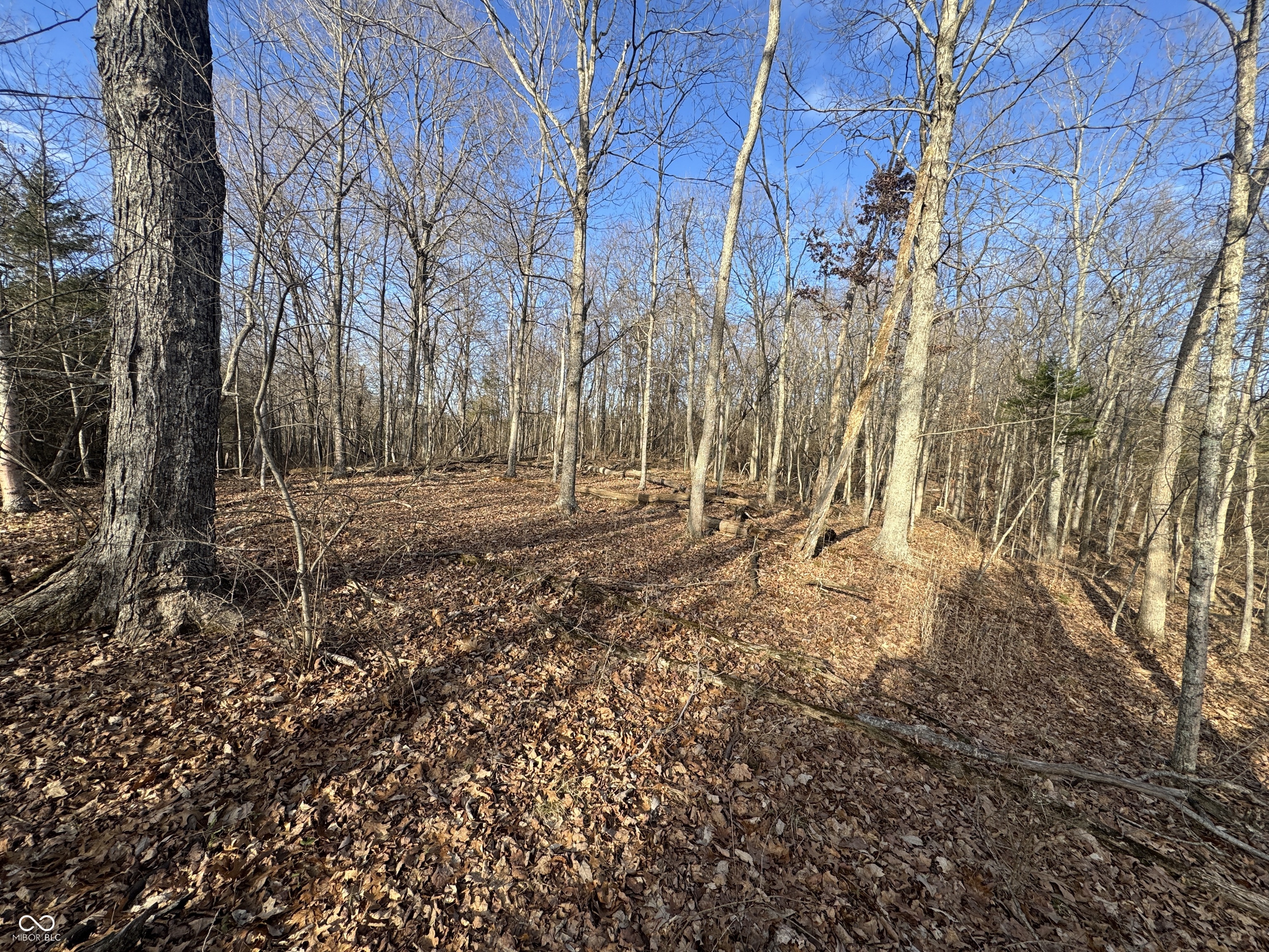 0 Burtzelbach Road Guilford, IN 47022 - Photo 20 of 33