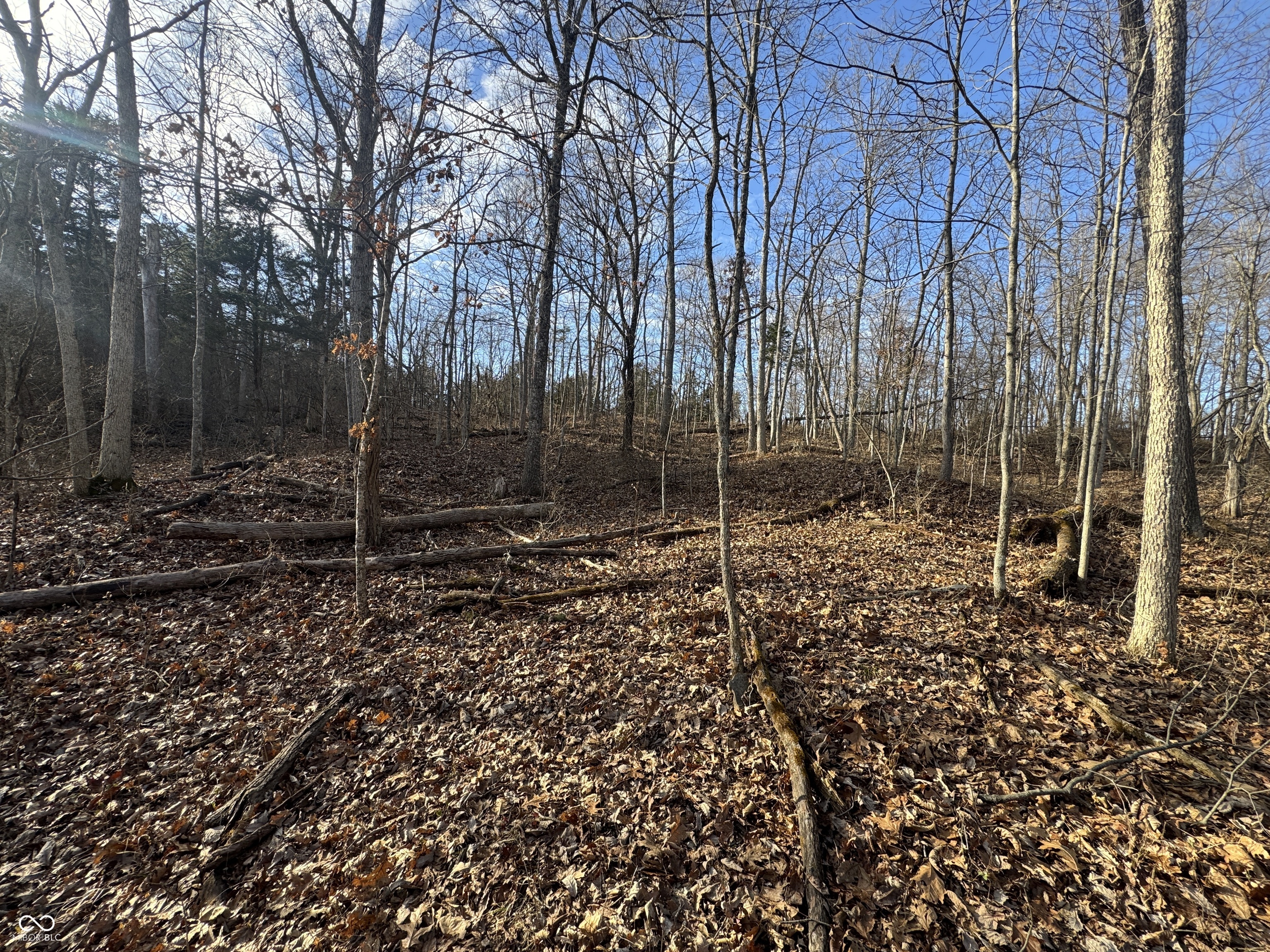 0 Burtzelbach Road Guilford, IN 47022 - Photo 2 of 33