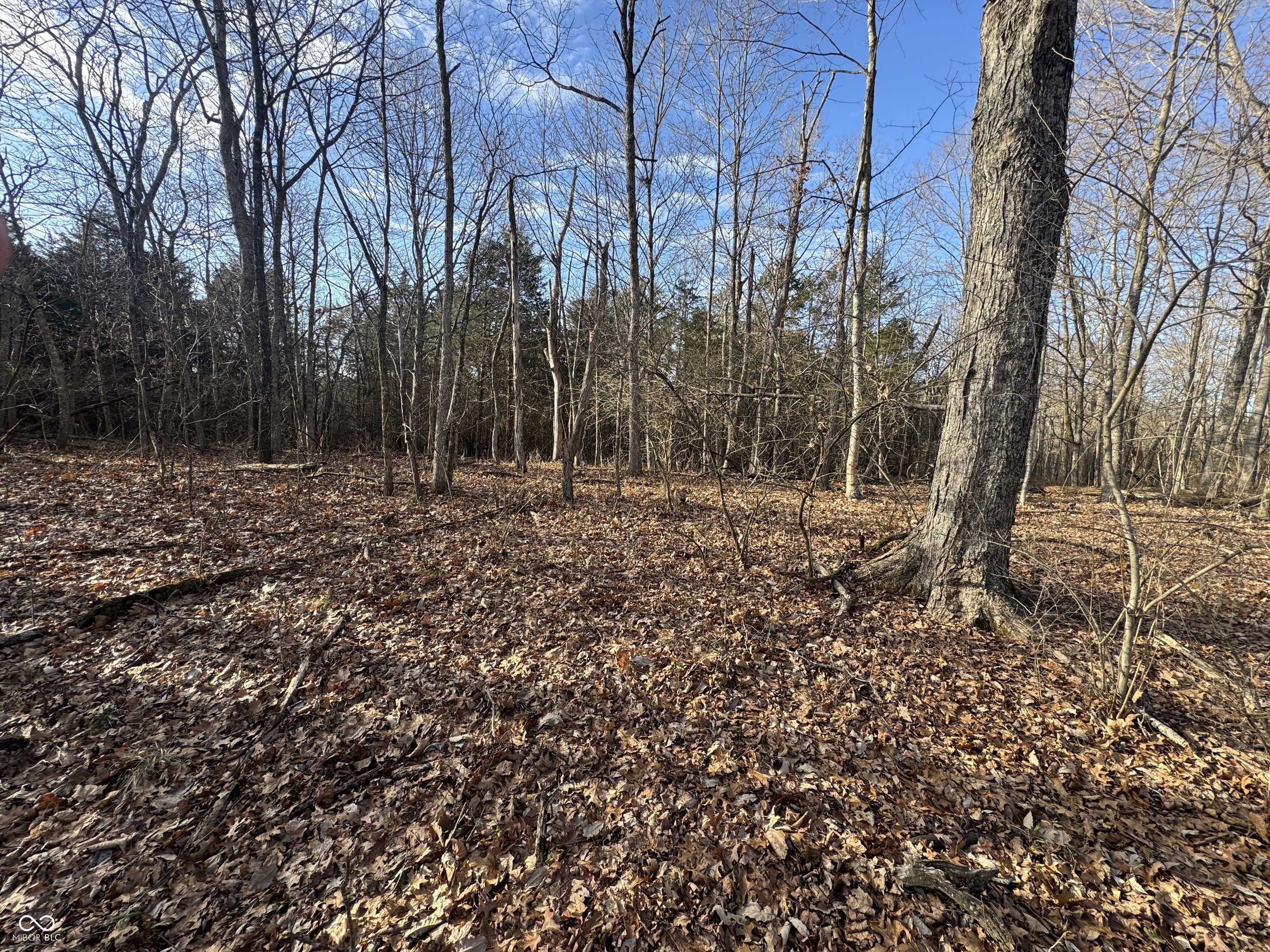 0 Burtzelbach Road Guilford, IN 47022 - Photo 21 of 33