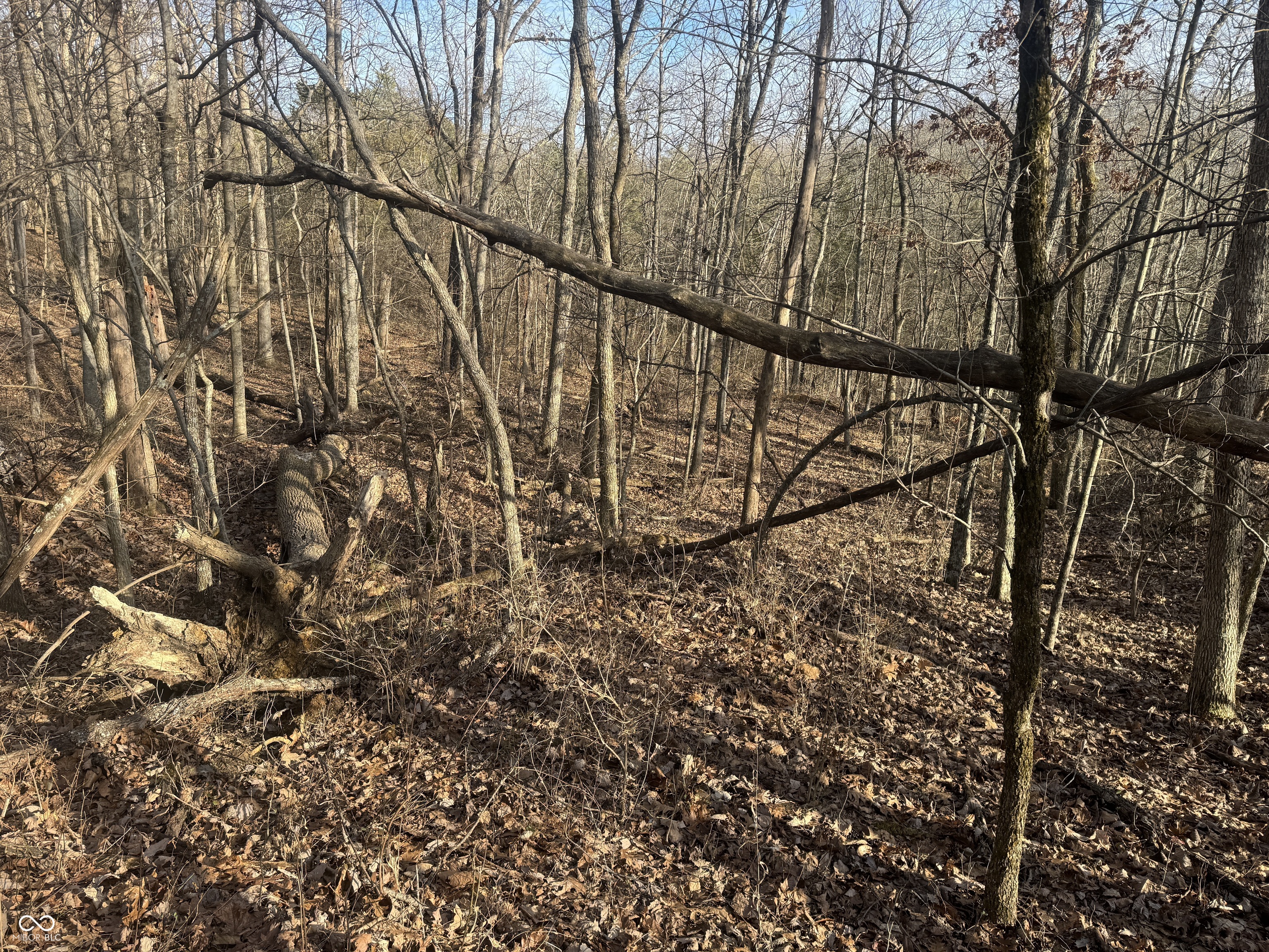 0 Burtzelbach Road Guilford, IN 47022 - Photo 23 of 33