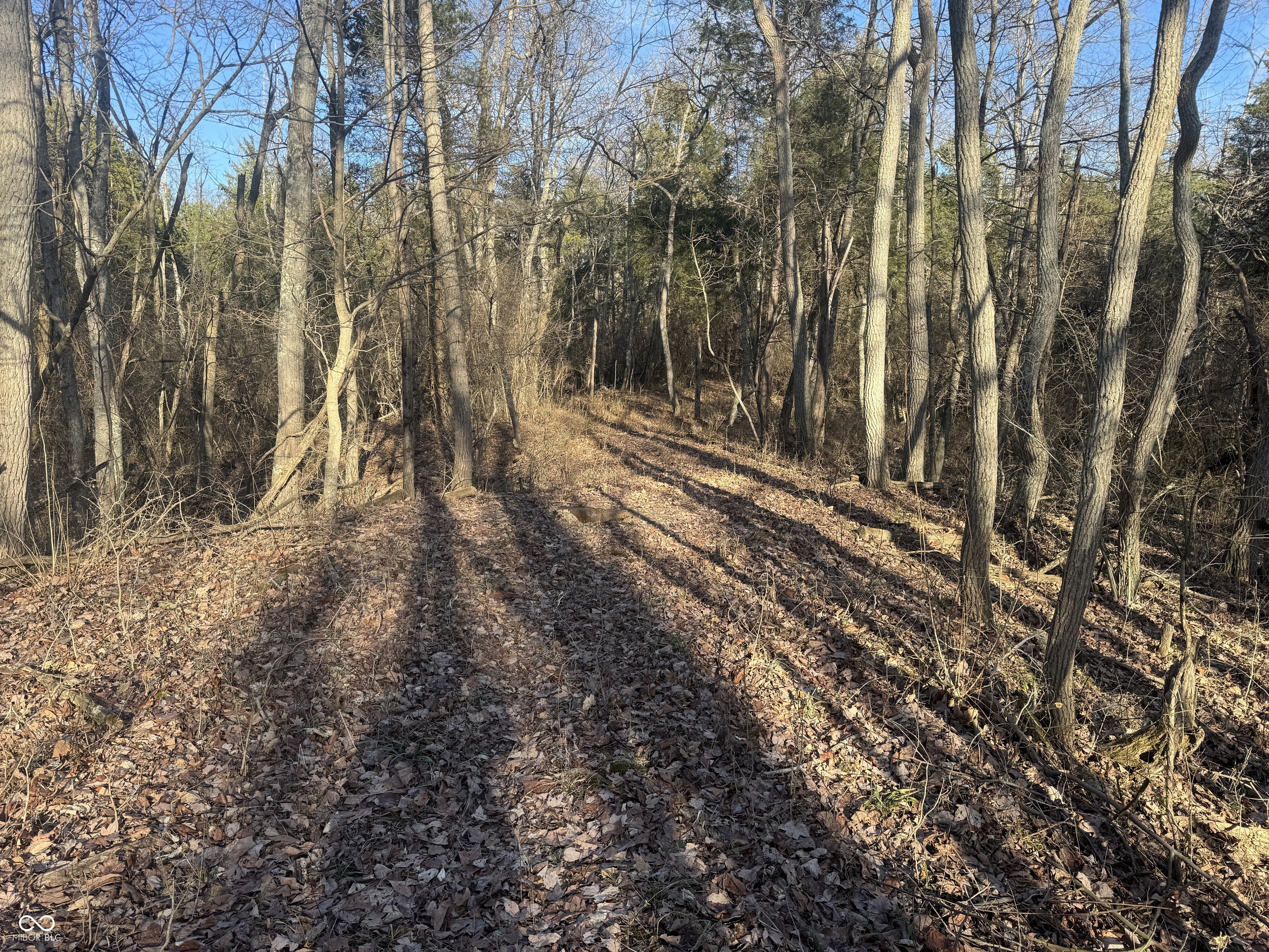 0 Burtzelbach Road Guilford, IN 47022 - Photo 24 of 33