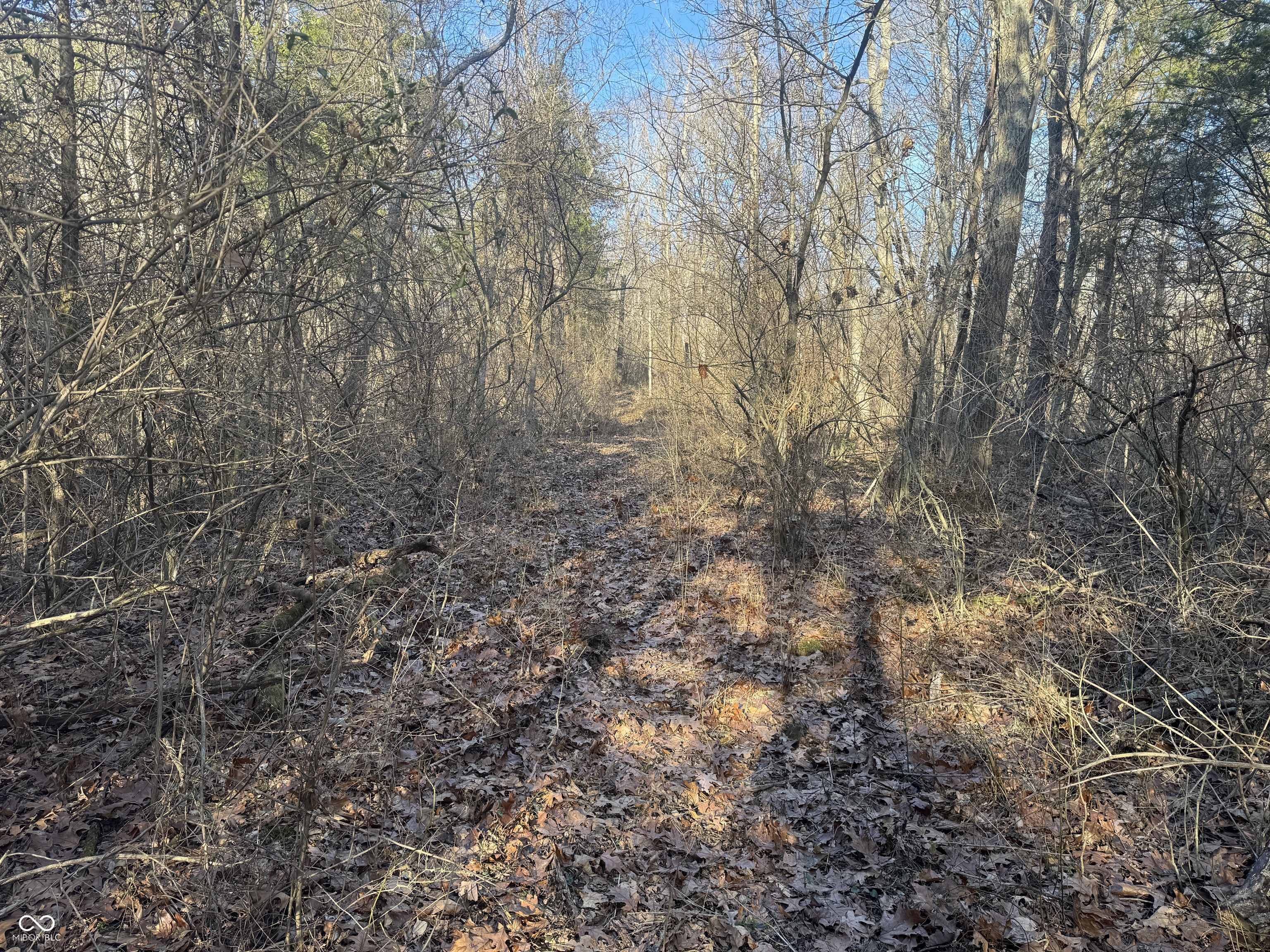 0 Burtzelbach Road Guilford, IN 47022 - Photo 25 of 33