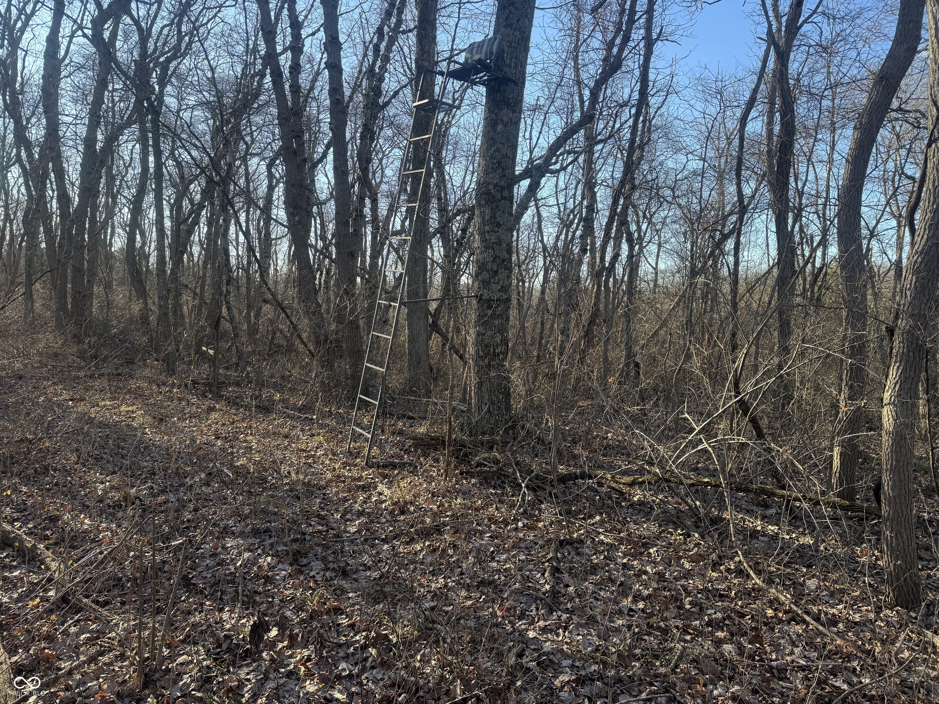 0 Burtzelbach Road Guilford, IN 47022 - Photo 26 of 33