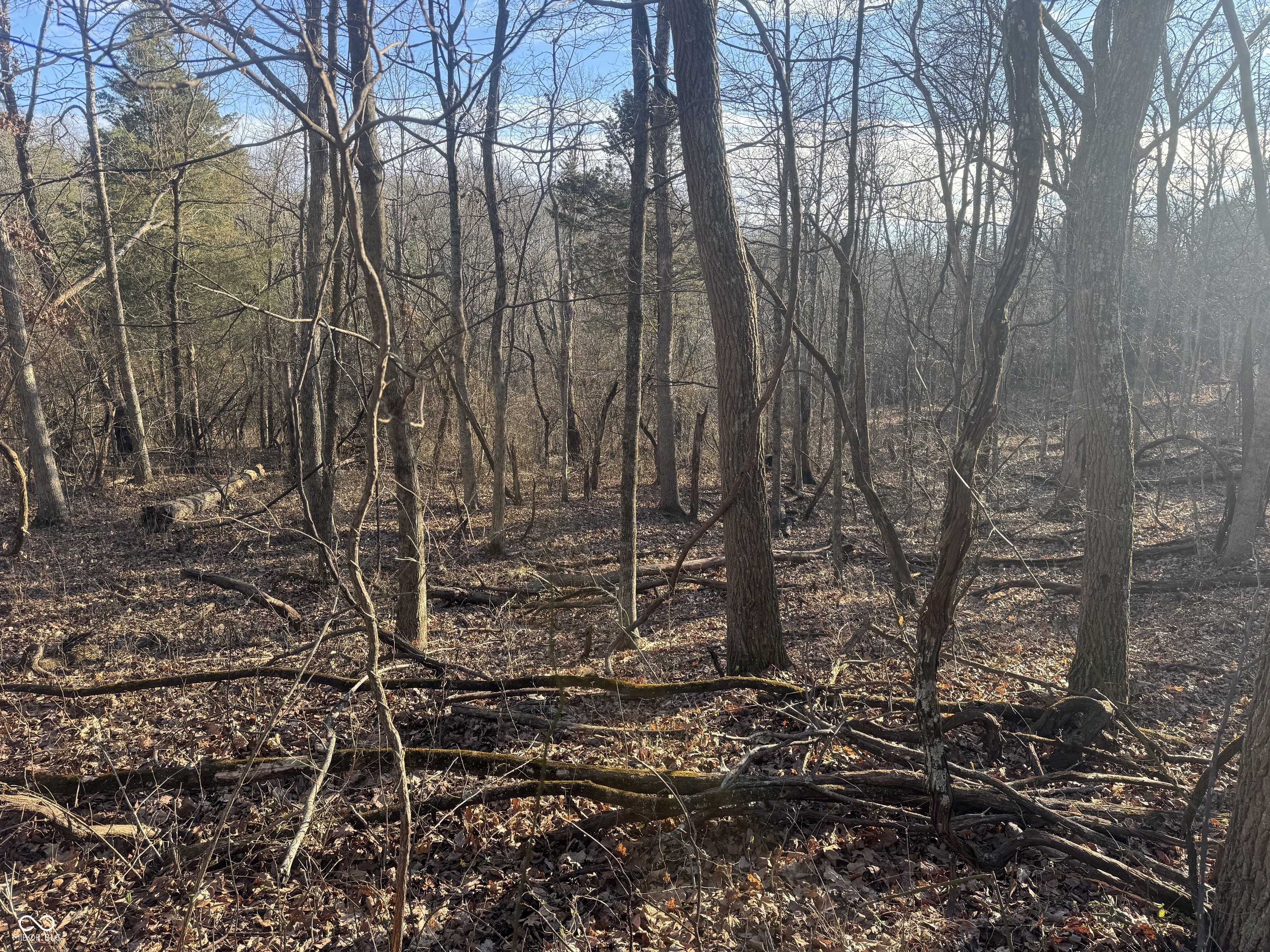 0 Burtzelbach Road Guilford, IN 47022 - Photo 27 of 33