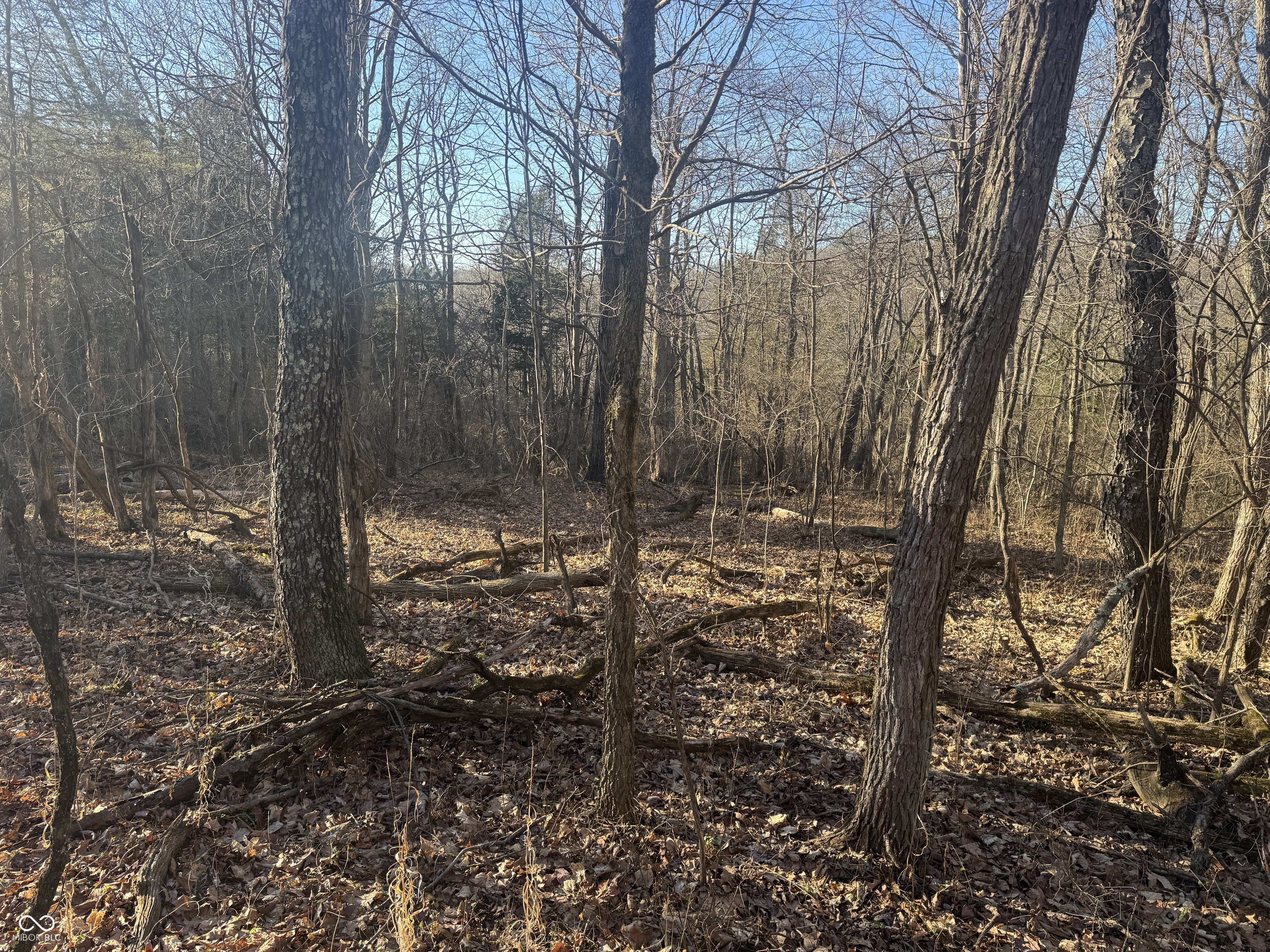 0 Burtzelbach Road Guilford, IN 47022 - Photo 28 of 33