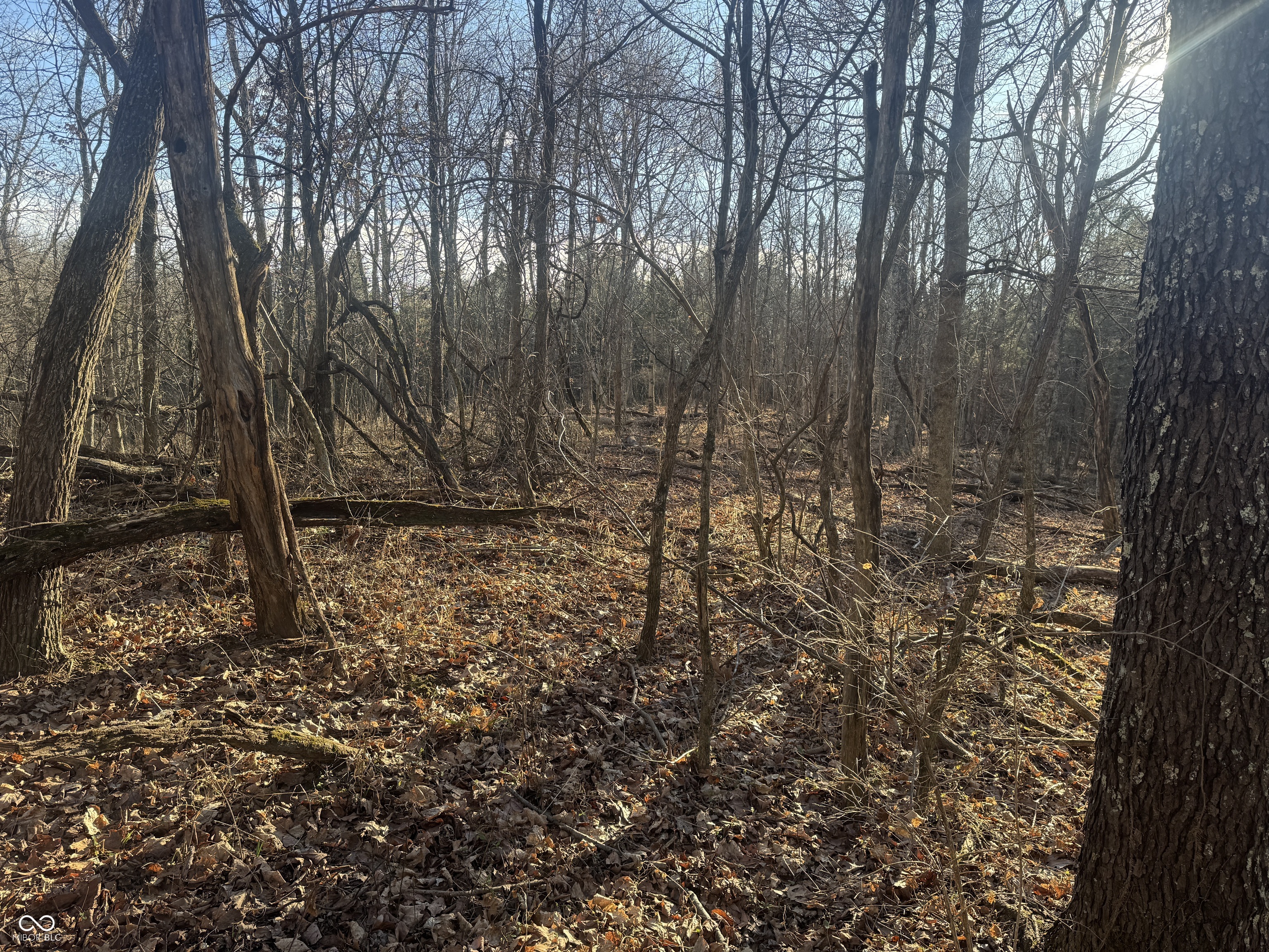 0 Burtzelbach Road Guilford, IN 47022 - Photo 29 of 33