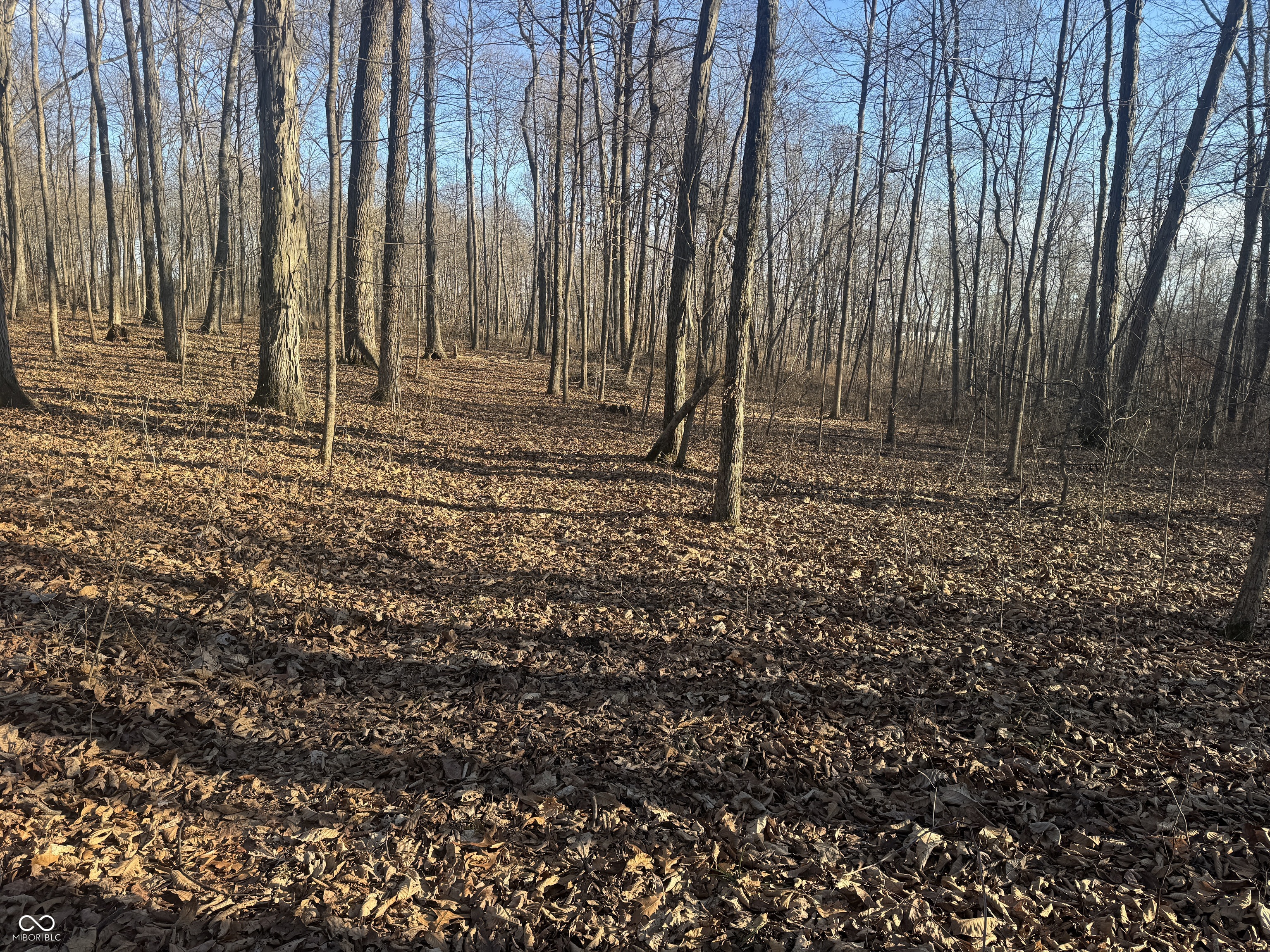 0 Burtzelbach Road Guilford, IN 47022 - Photo 3 of 33