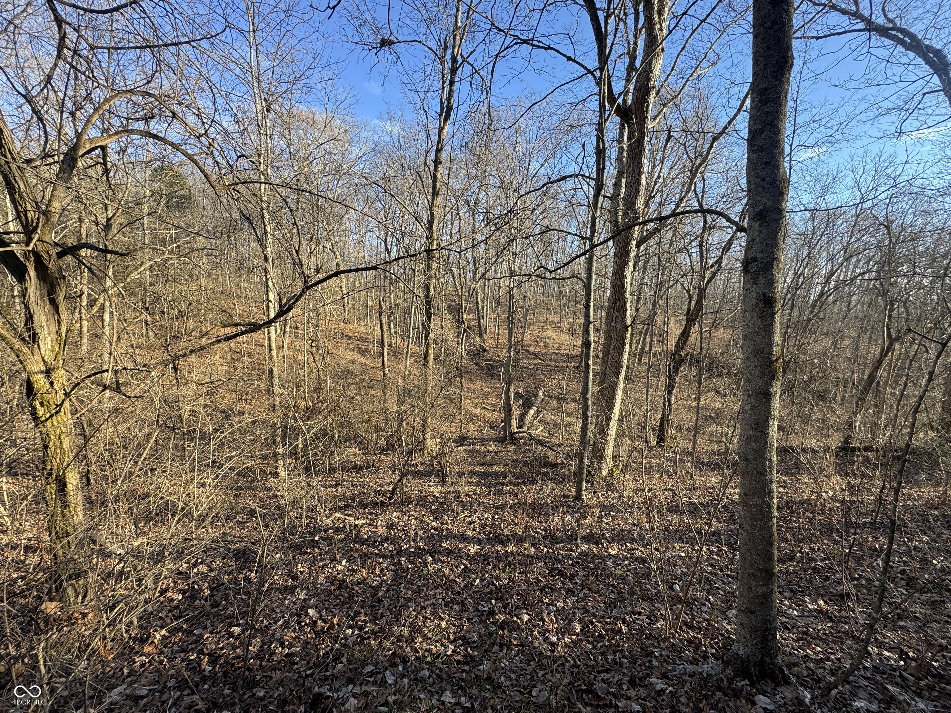 0 Burtzelbach Road Guilford, IN 47022 - Photo 31 of 33