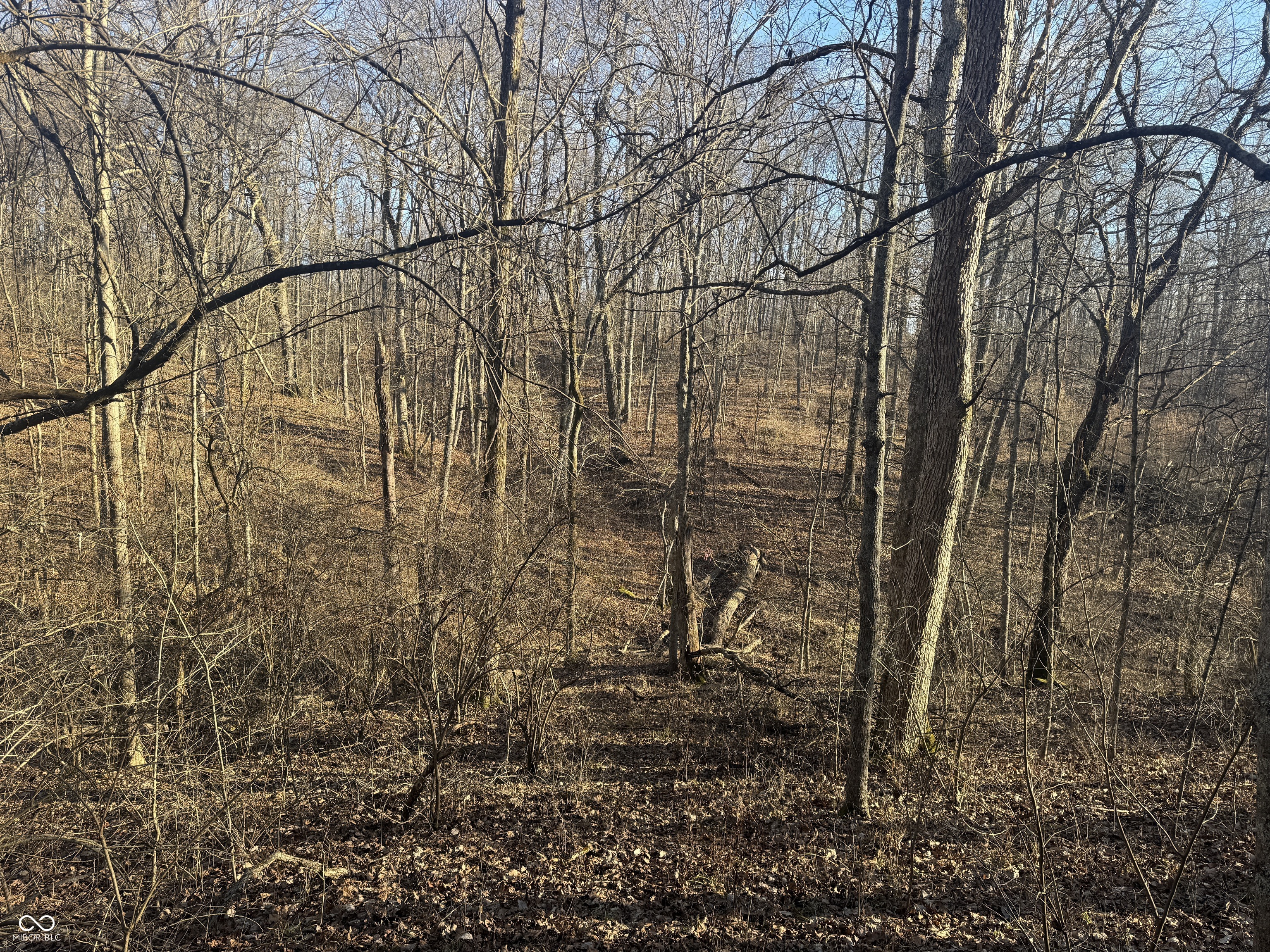 0 Burtzelbach Road Guilford, IN 47022 - Photo 32 of 33