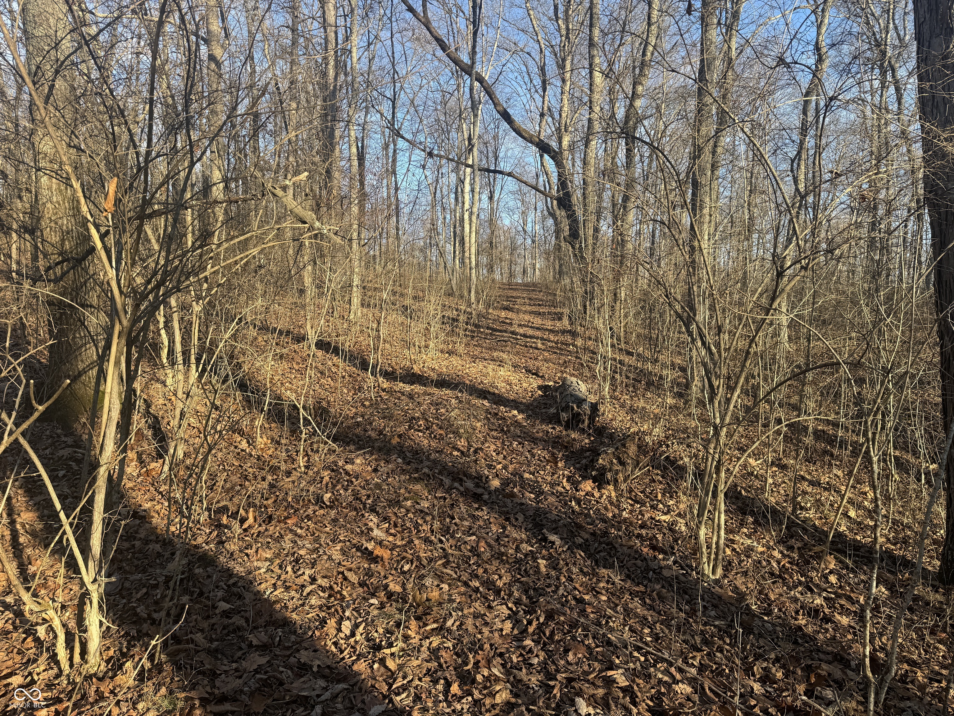 0 Burtzelbach Road Guilford, IN 47022 - Photo 33 of 33