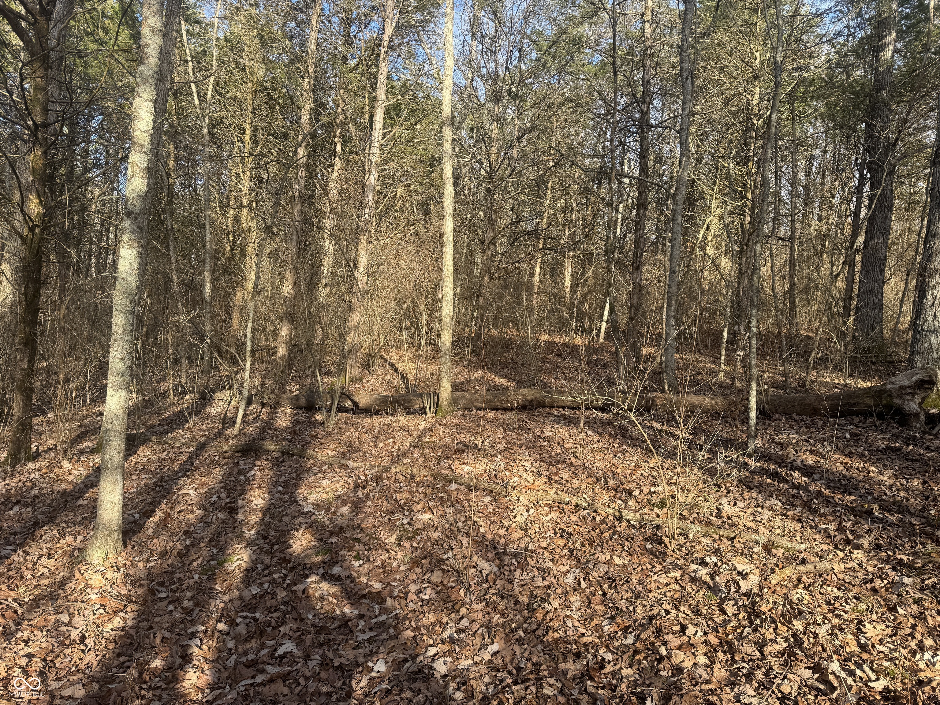 0 Burtzelbach Road Guilford, IN 47022 - Photo 4 of 33