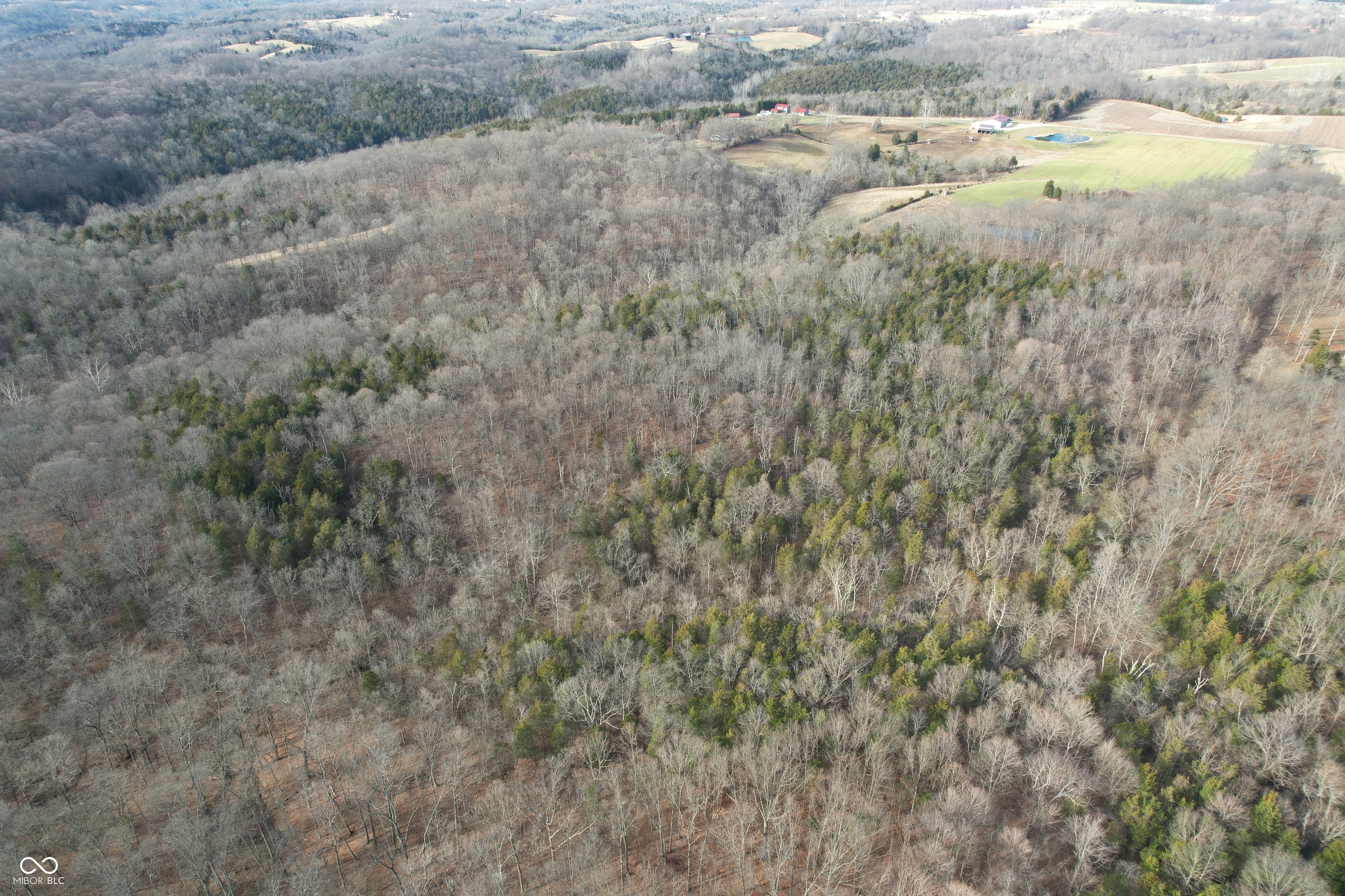 0 Burtzelbach Road Guilford, IN 47022 - Photo 5 of 33