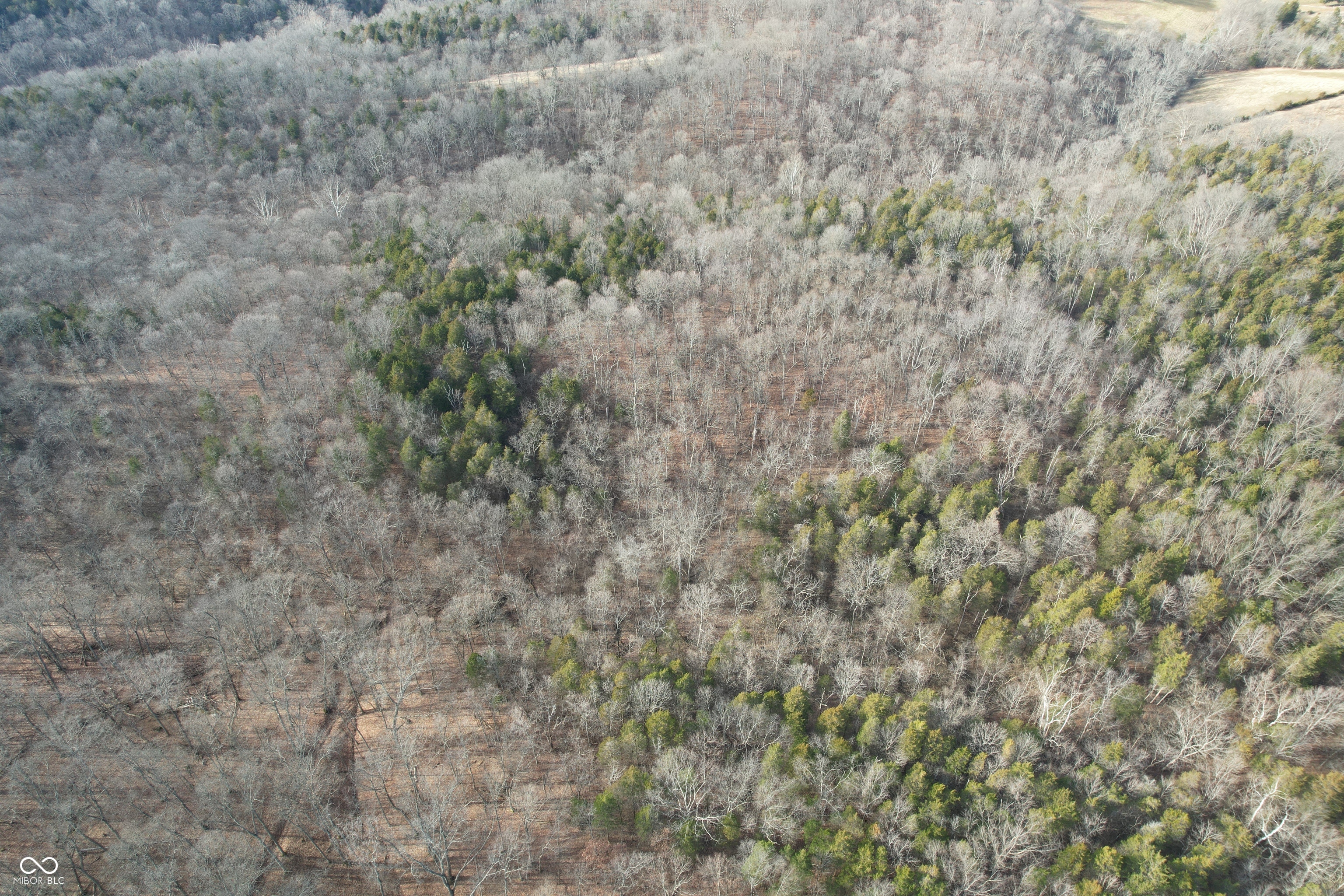 0 Burtzelbach Road Guilford, IN 47022 - Photo 8 of 33