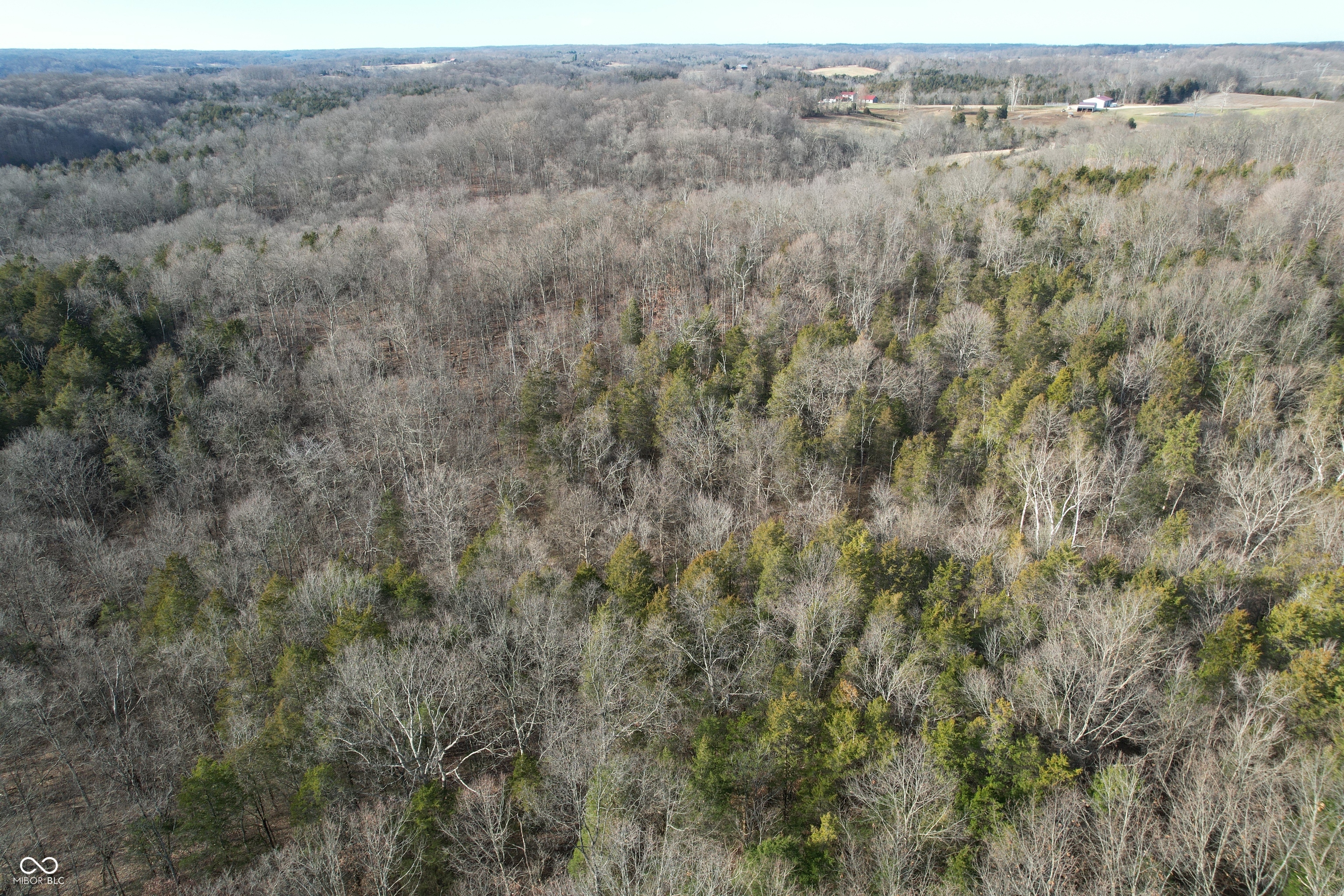 0 Burtzelbach Road Guilford, IN 47022 - Photo 9 of 33