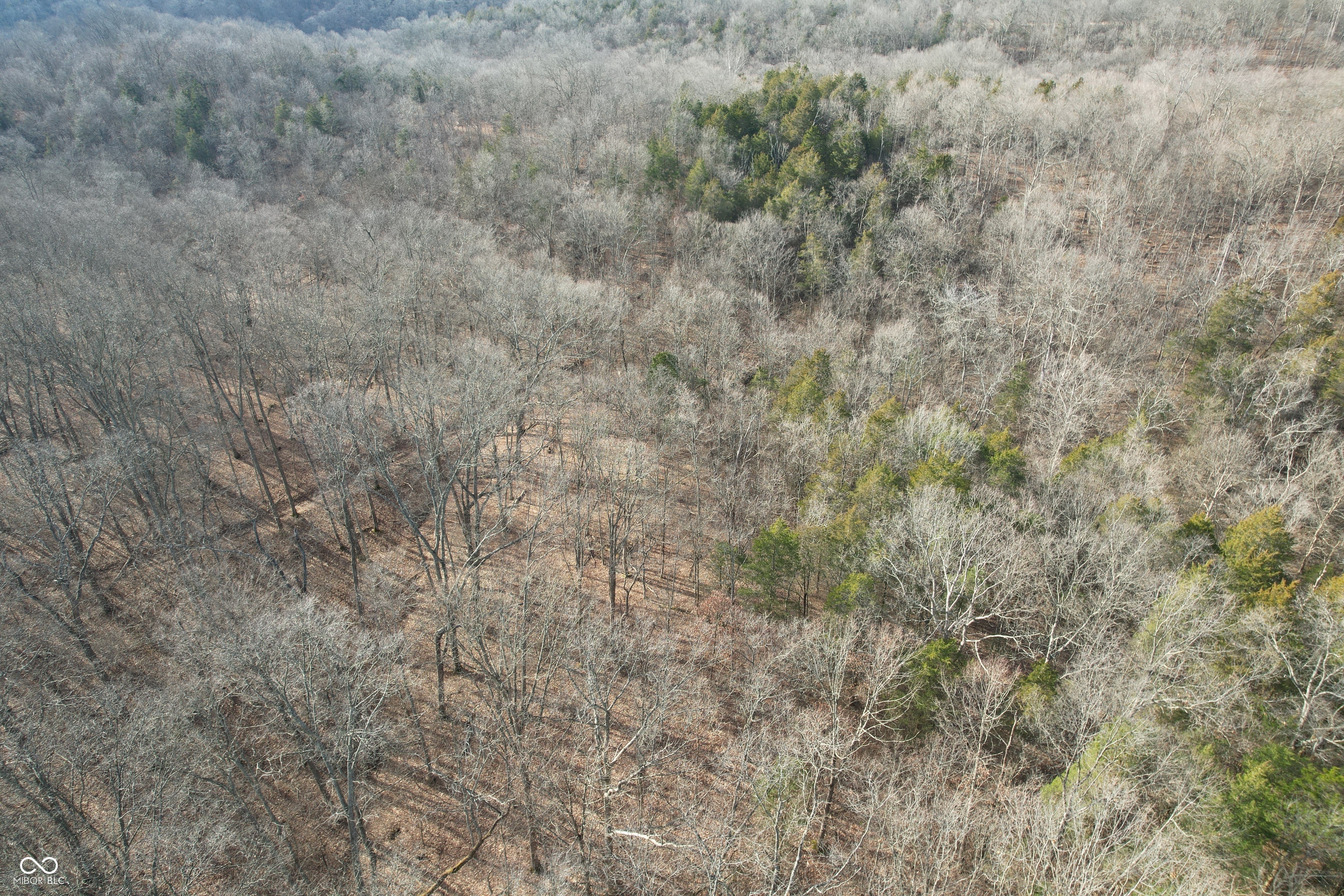 0 Burtzelbach Road Guilford, IN 47022 - Photo 10 of 33