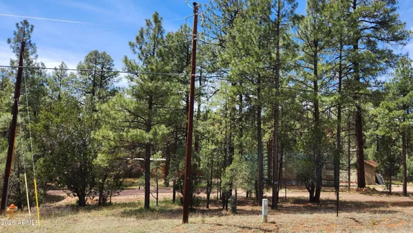 $70,000 | 2890 Pine Rim Road, Overgaard, AZ 85933