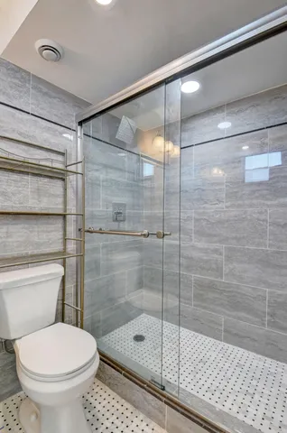 a bathroom with a shower and a toilet