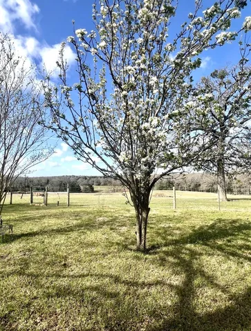 $675,000 | 1188 Private 6030, Cameron, TX 76520