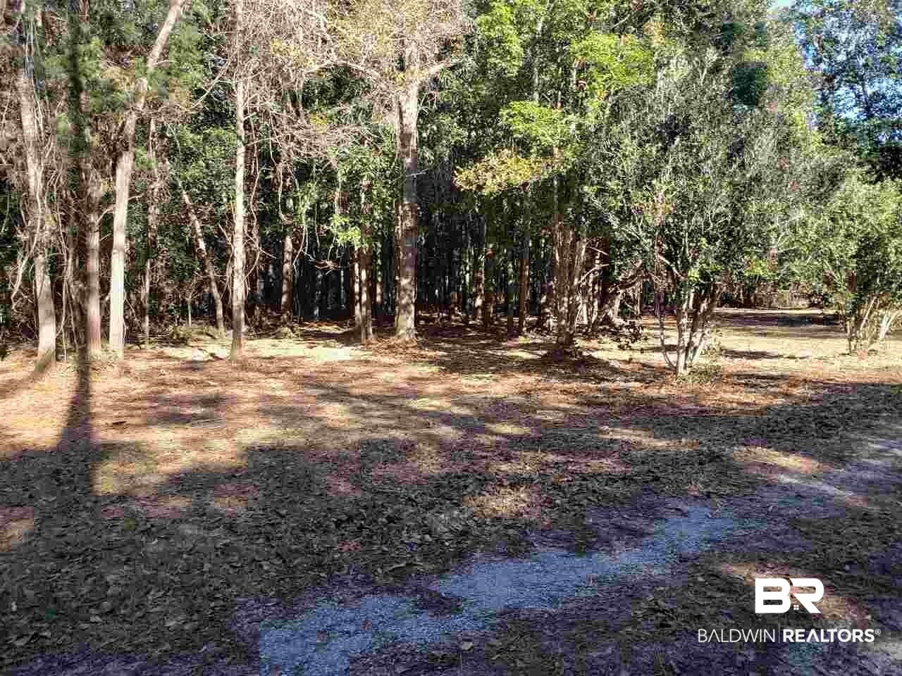 21655 Highway 98 Foley, AL 36535 - Photo 10 of 22