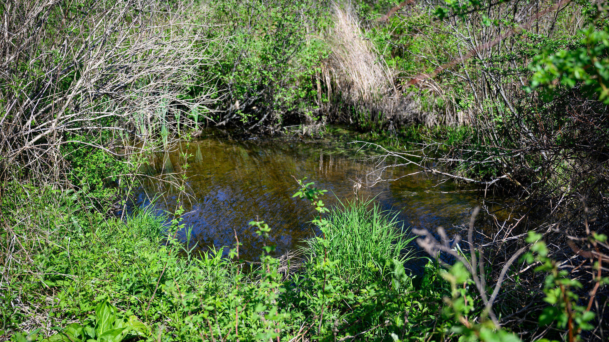 64 Wardtown Road Freeport, ME 04032 - Photo 50 of 50 64WardtownRd-7659
