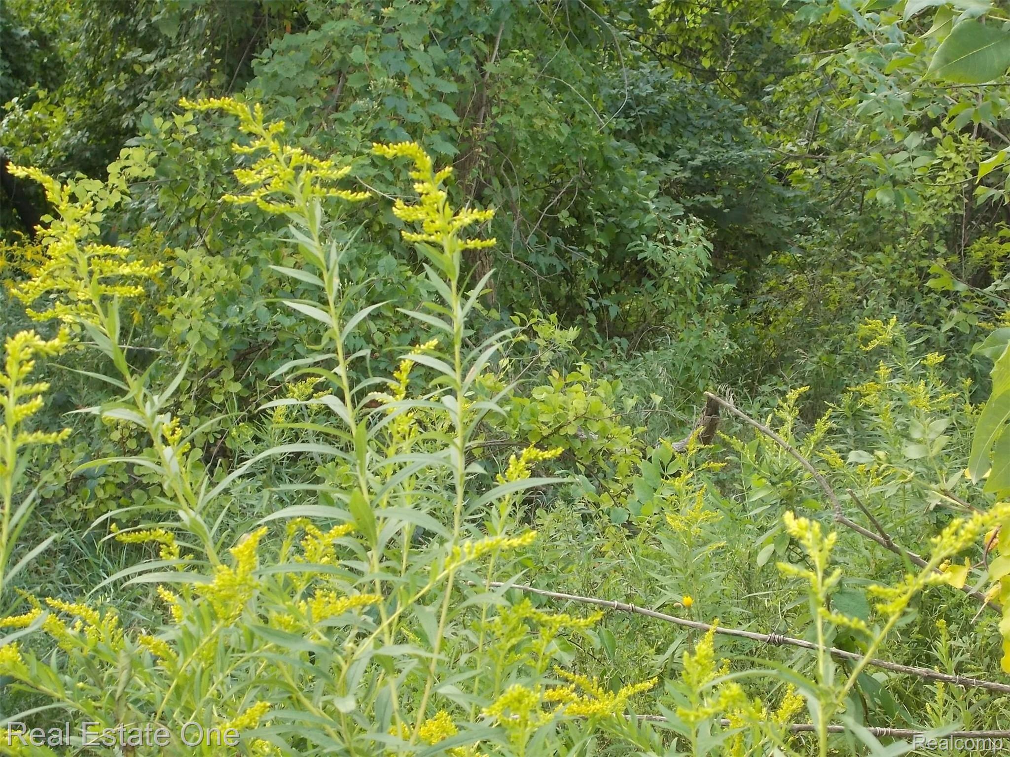 0 North Lake George Road Oxford, MI 48370 - Photo 49 of 55 DSCN1974.JPG