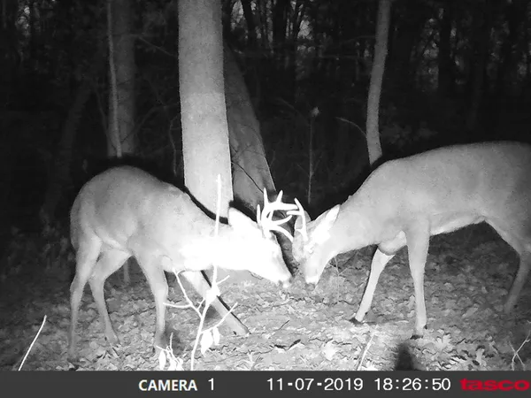 $415,000 | 438 280th Street, Osceola, WI 54020