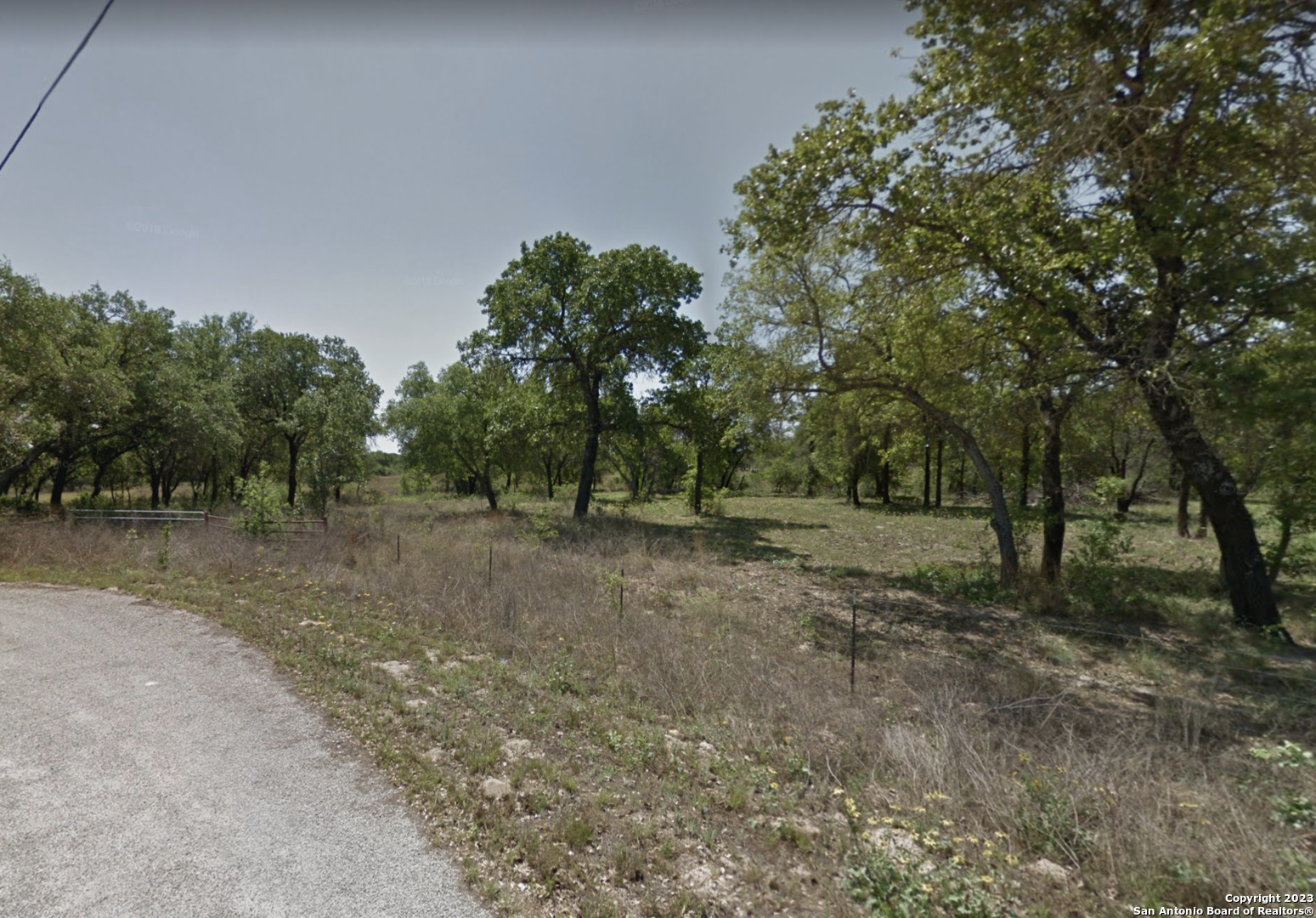 a view of a forest with trees in the background
