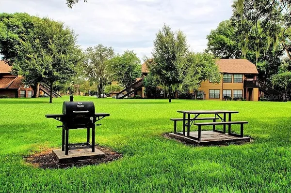 a view of a garden with a bench
