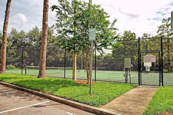 a view of a park with a large tree
